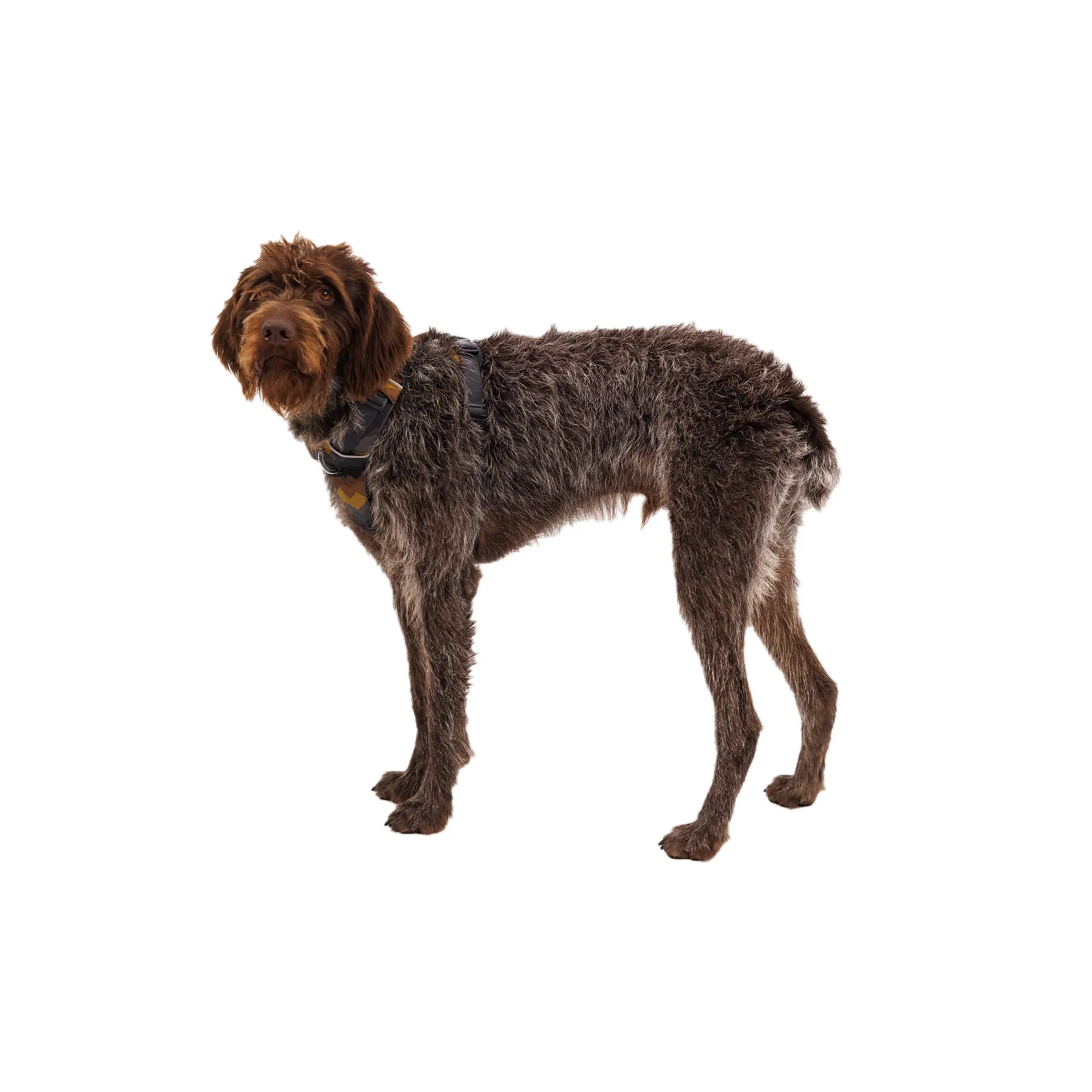 Product image 9 of 15 of RUFFWEAR Front Range Dog Harness - Moonlight Mountains