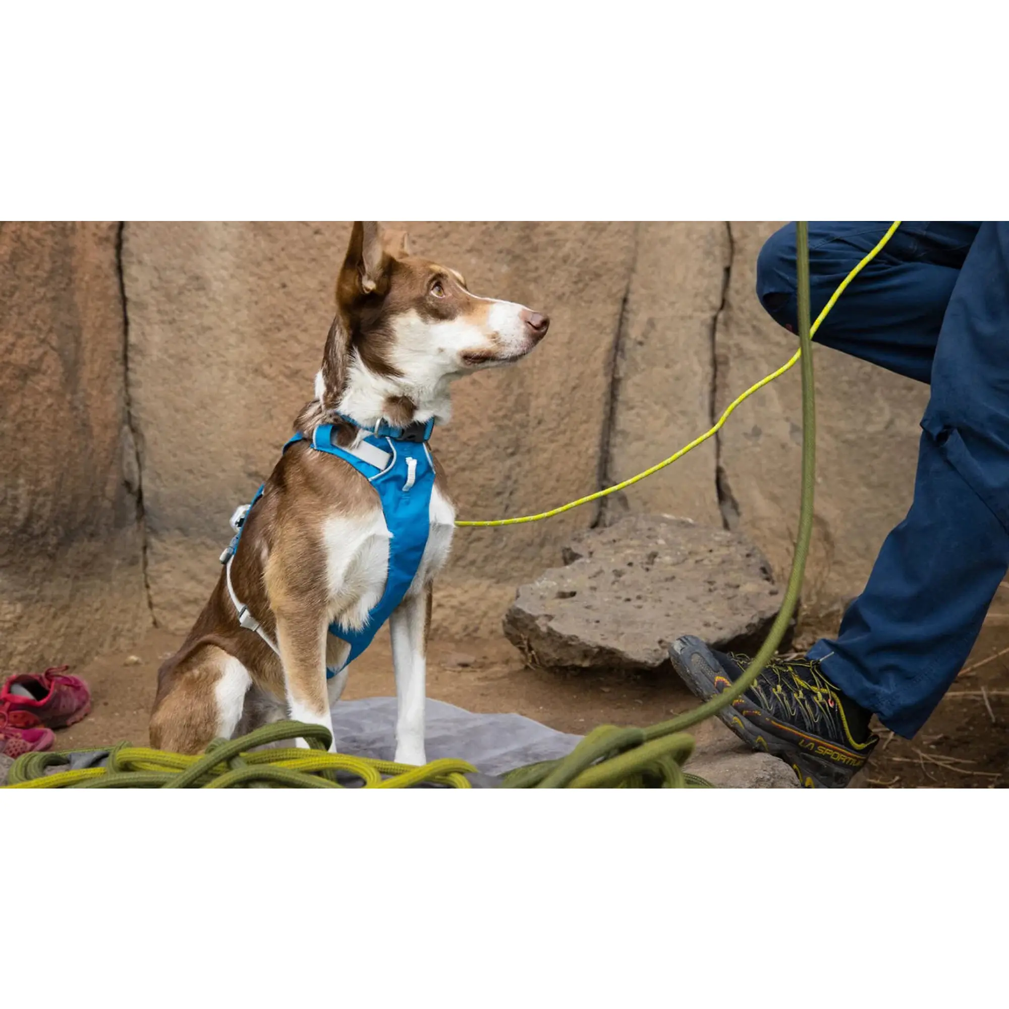 Product image 9 of 17 of RUFFWEAR Flagline Dog Harness - Basalt Grey