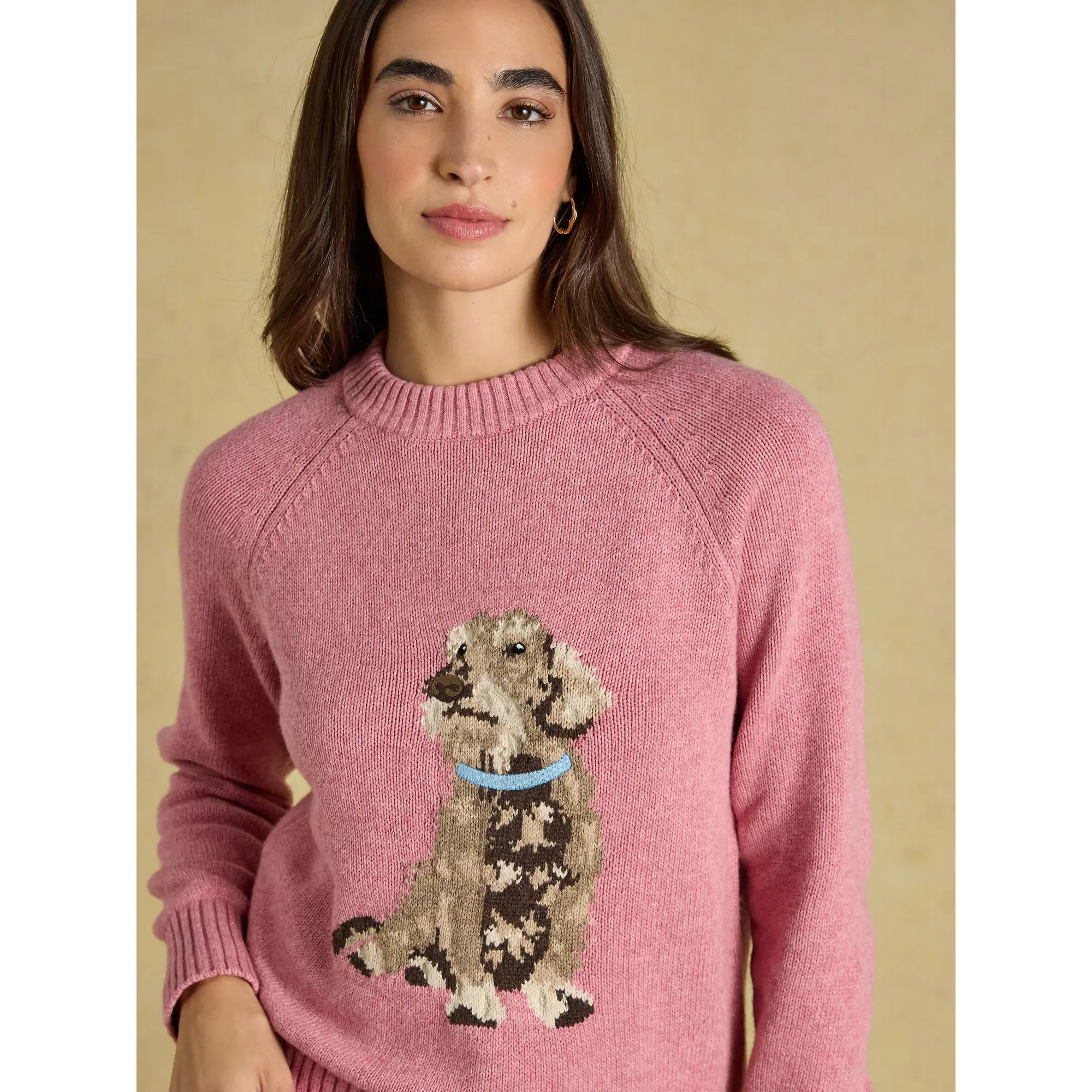 Product image 5 of 7 of Joules Women's Dachshund Cotton Blend Crew Neck Knitted Jumper - Pink