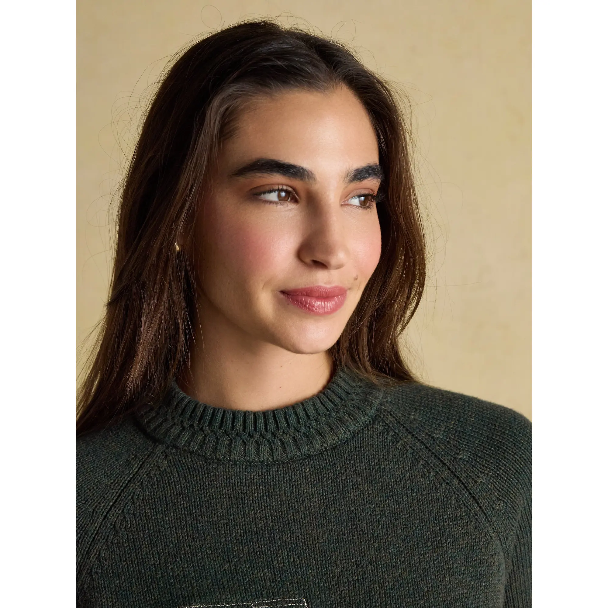 Product image 4 of 9 of Joules Women's Rutland 4x4 Knitted Intarsia Jumper - Green