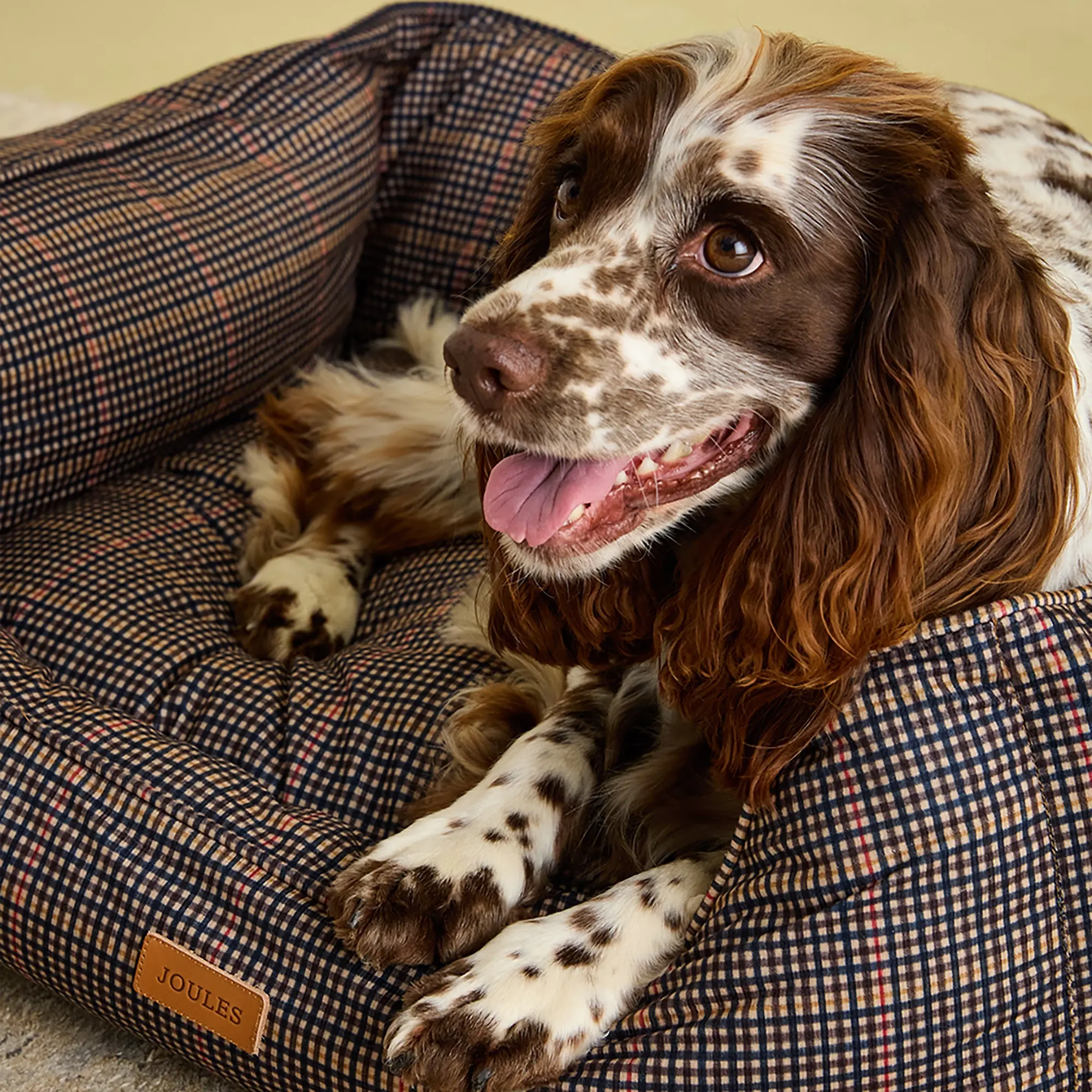Product image 10 of 12 of Joules Dog Box Bed - Henson Check