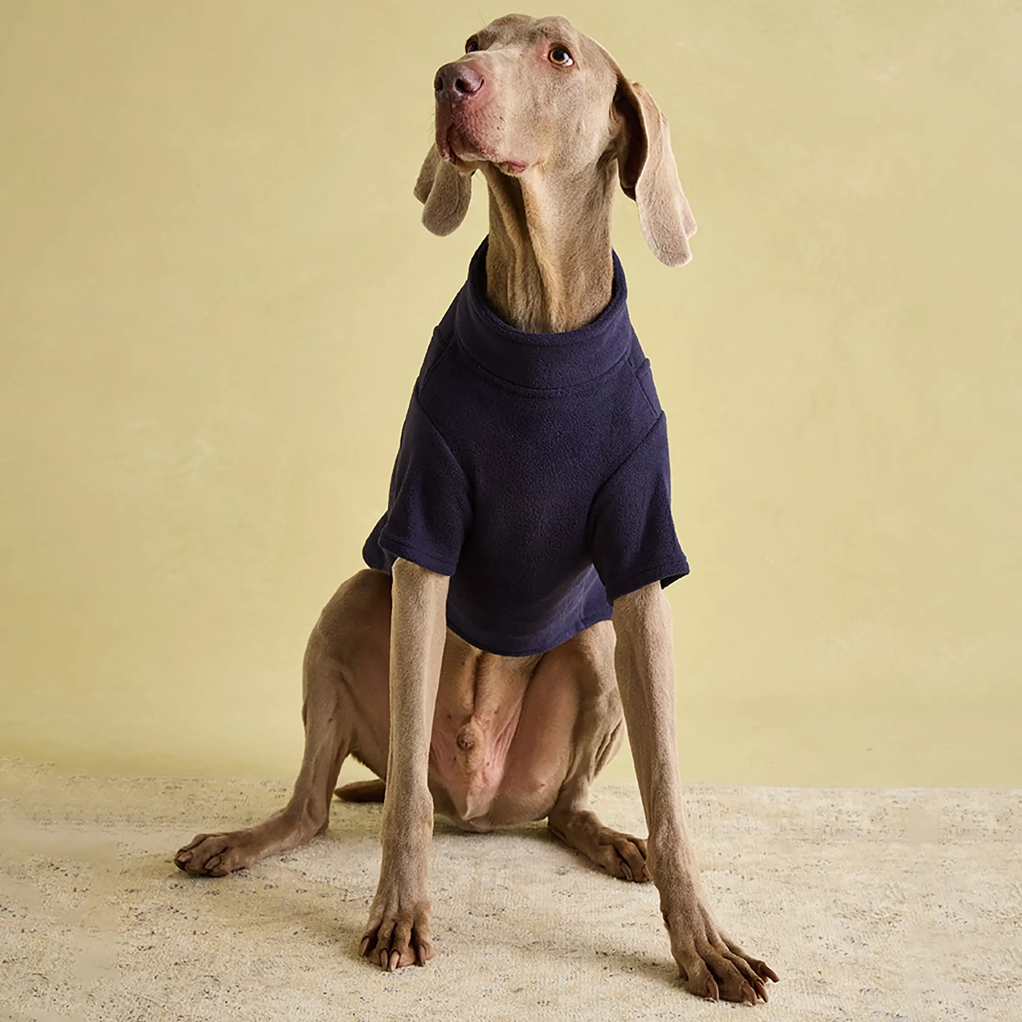 Product image 13 of 15 of Joules Dog Fleece - Navy