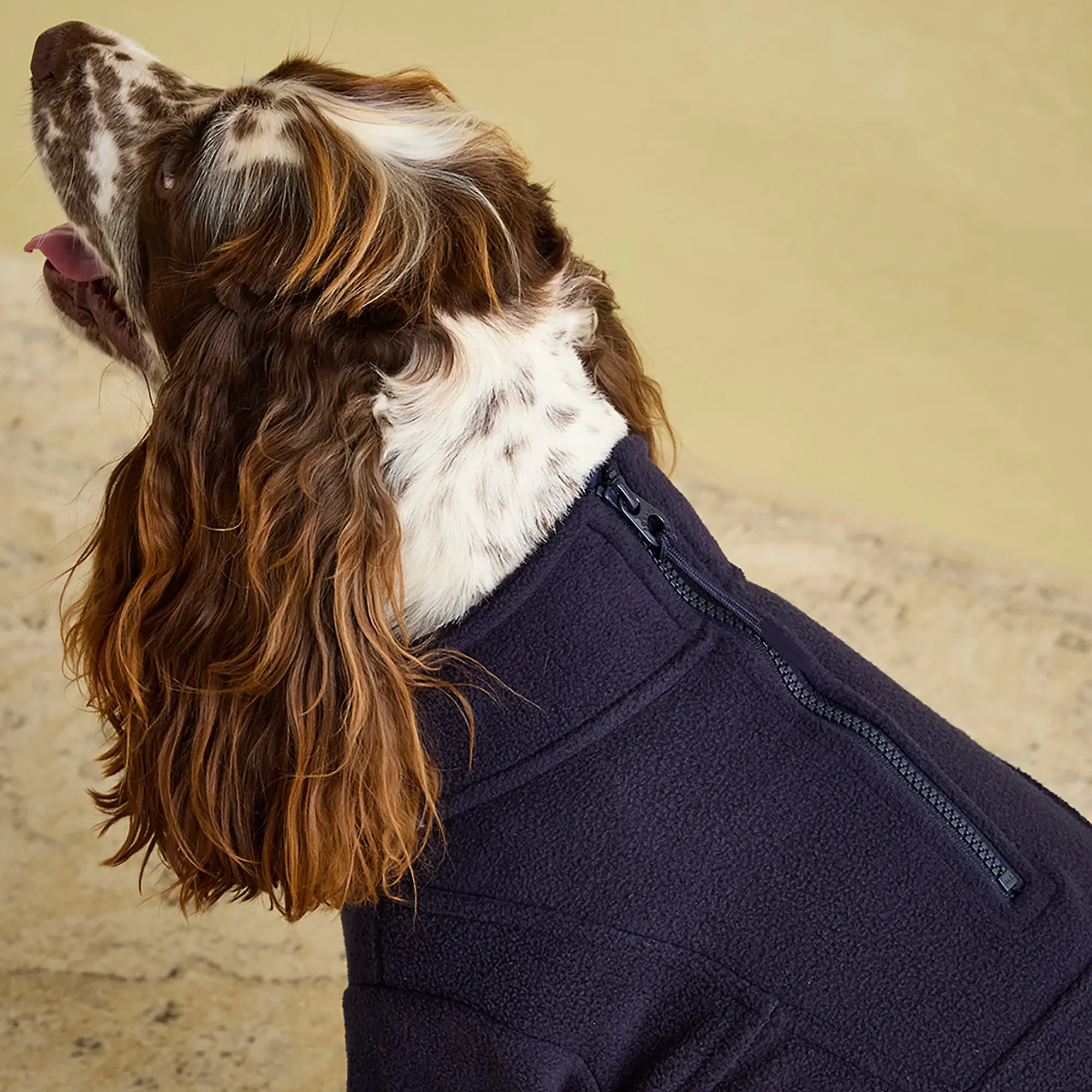 Product image 14 of 15 of Joules Dog Fleece - Navy