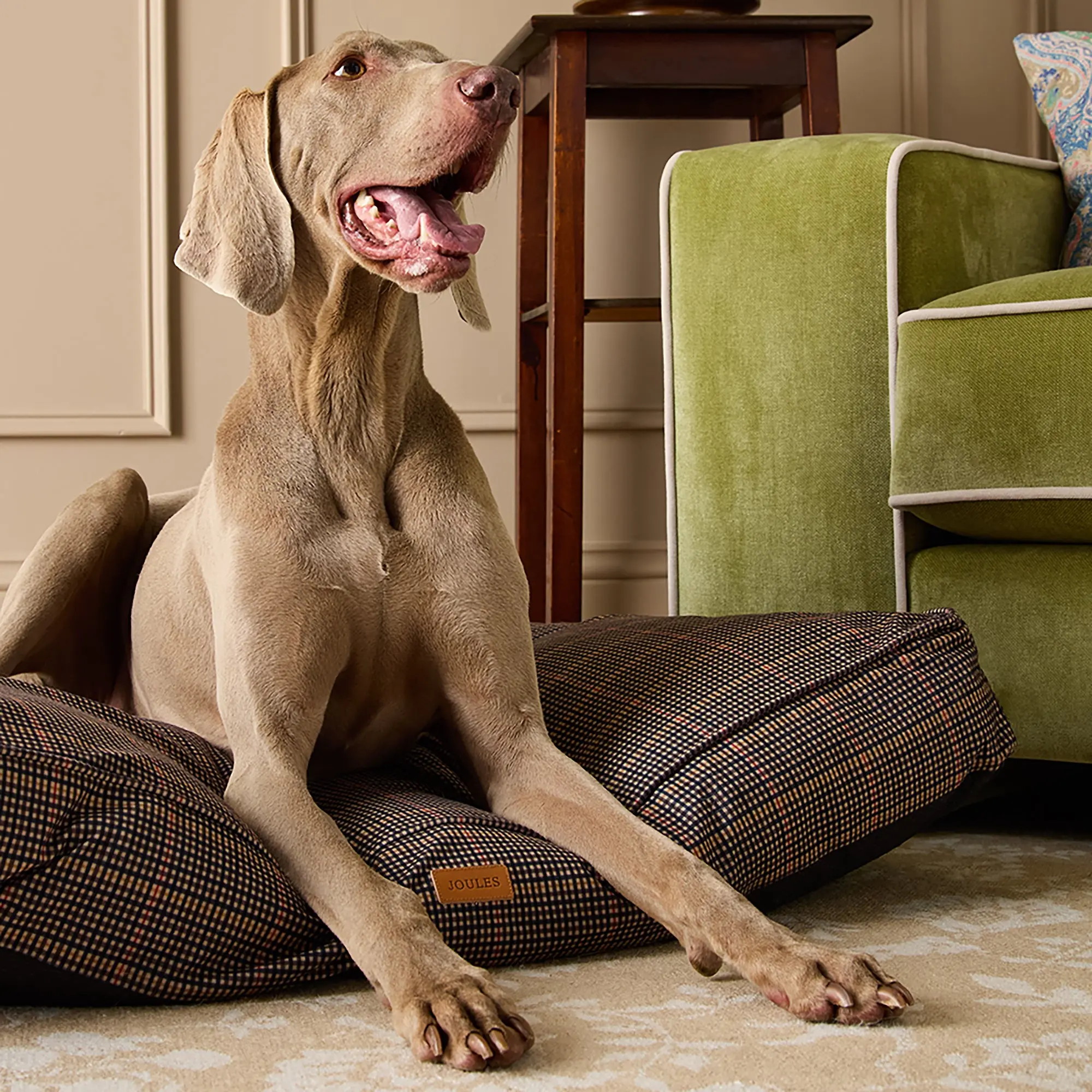 Product image 2 of 11 of Joules Dog Mattress - Henson Check