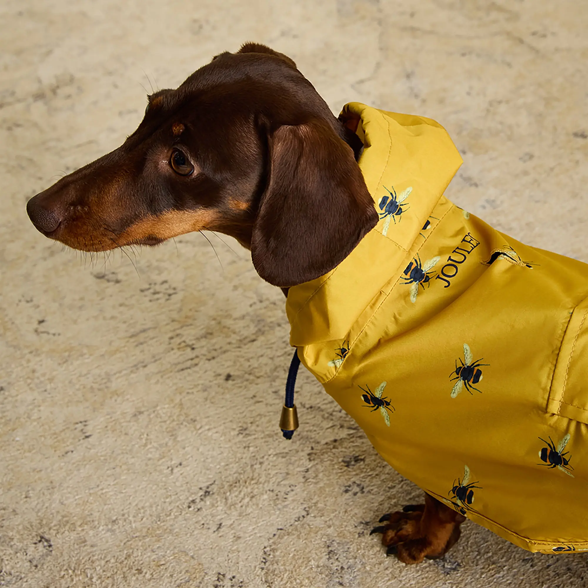 Product image 12 of 17 of Joules Golightly Packaway Dog Jacket - Bee Print