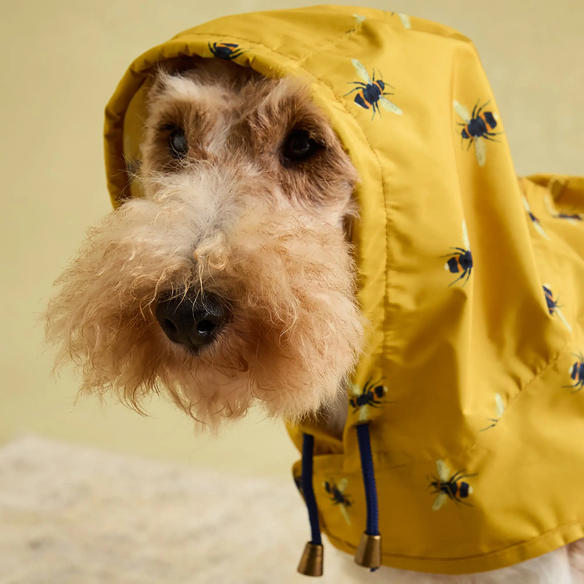 Product image 8 of 17 of Joules Golightly Packaway Dog Jacket - Bee Print