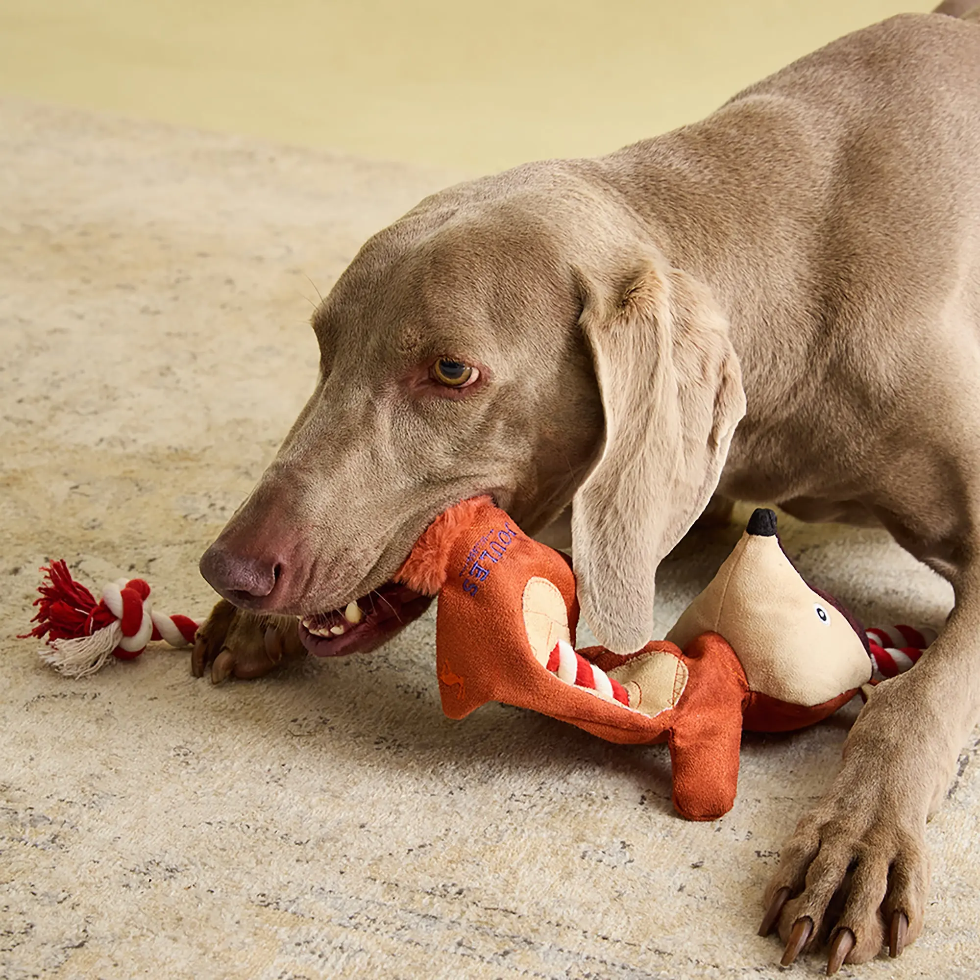 Product image 10 of 10 of Joules Heritage Tweed Fox Rope Dog Toy - Red