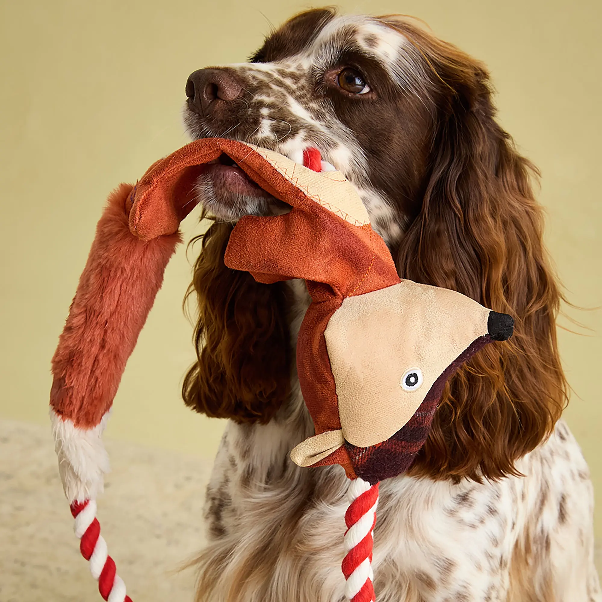Product image 8 of 10 of Joules Heritage Tweed Fox Rope Dog Toy - Red