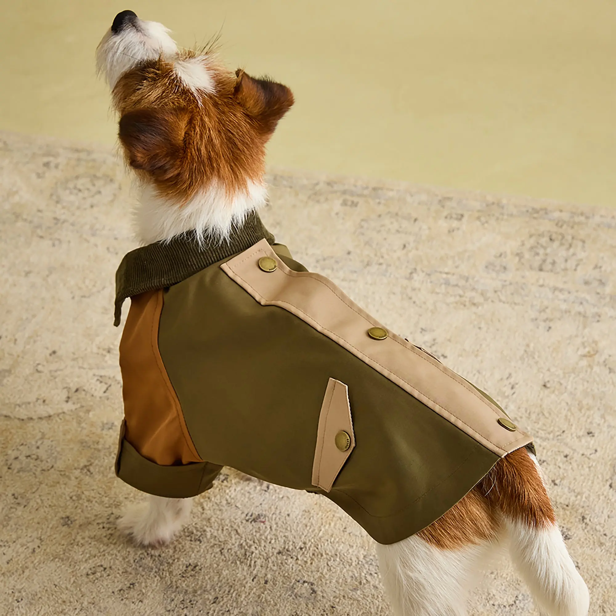 Product image 6 of 13 of Joules Kennington Water Resistant Dog Coat - Brown & Khaki