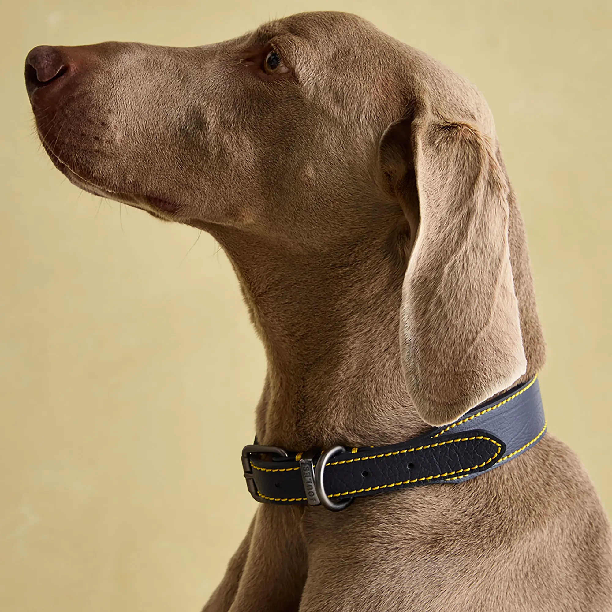 Product image 2 of 10 of Joules Leather Dog Collar - Navy