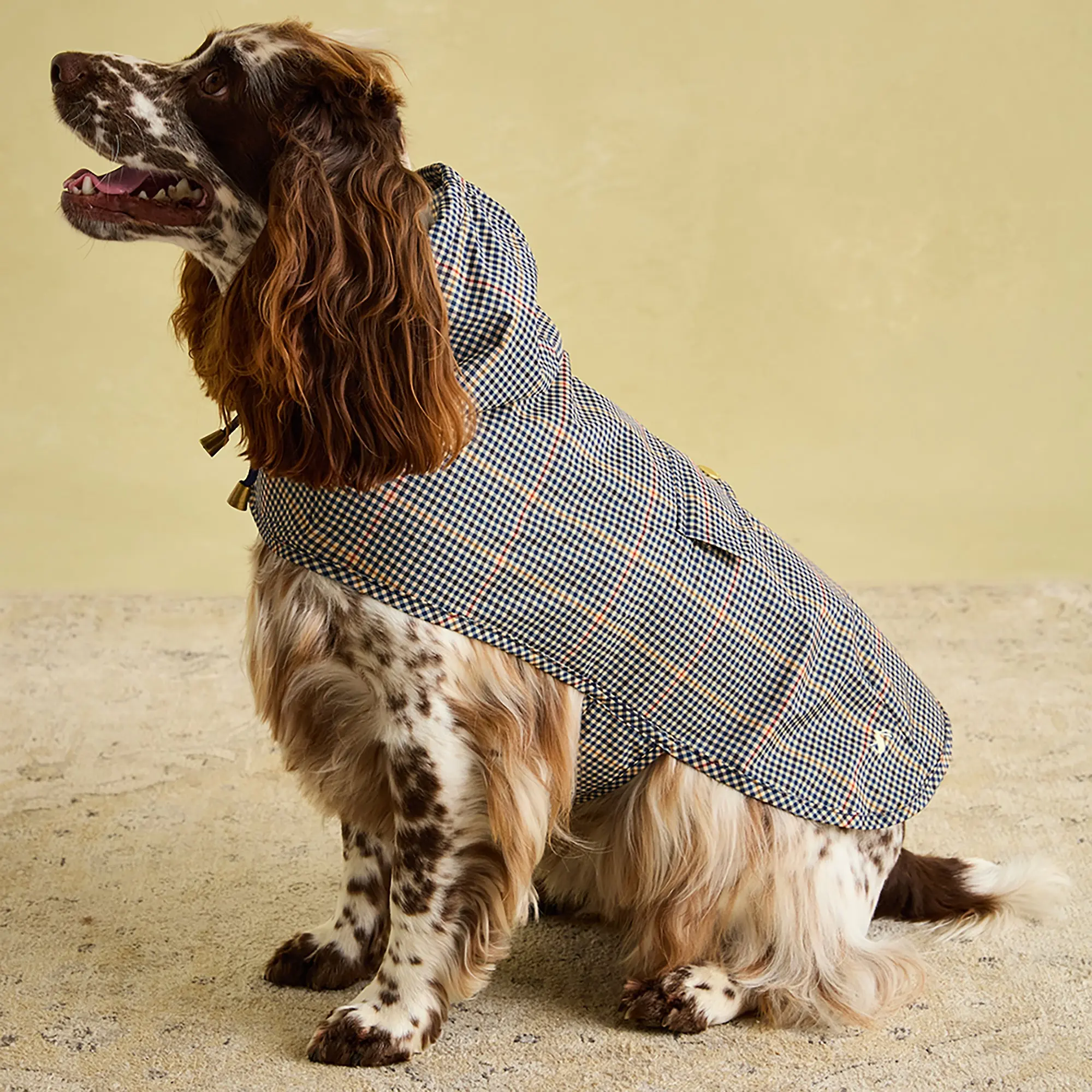 Product image 13 of 16 of Joules Packaway Dog Jacket - Henson Check