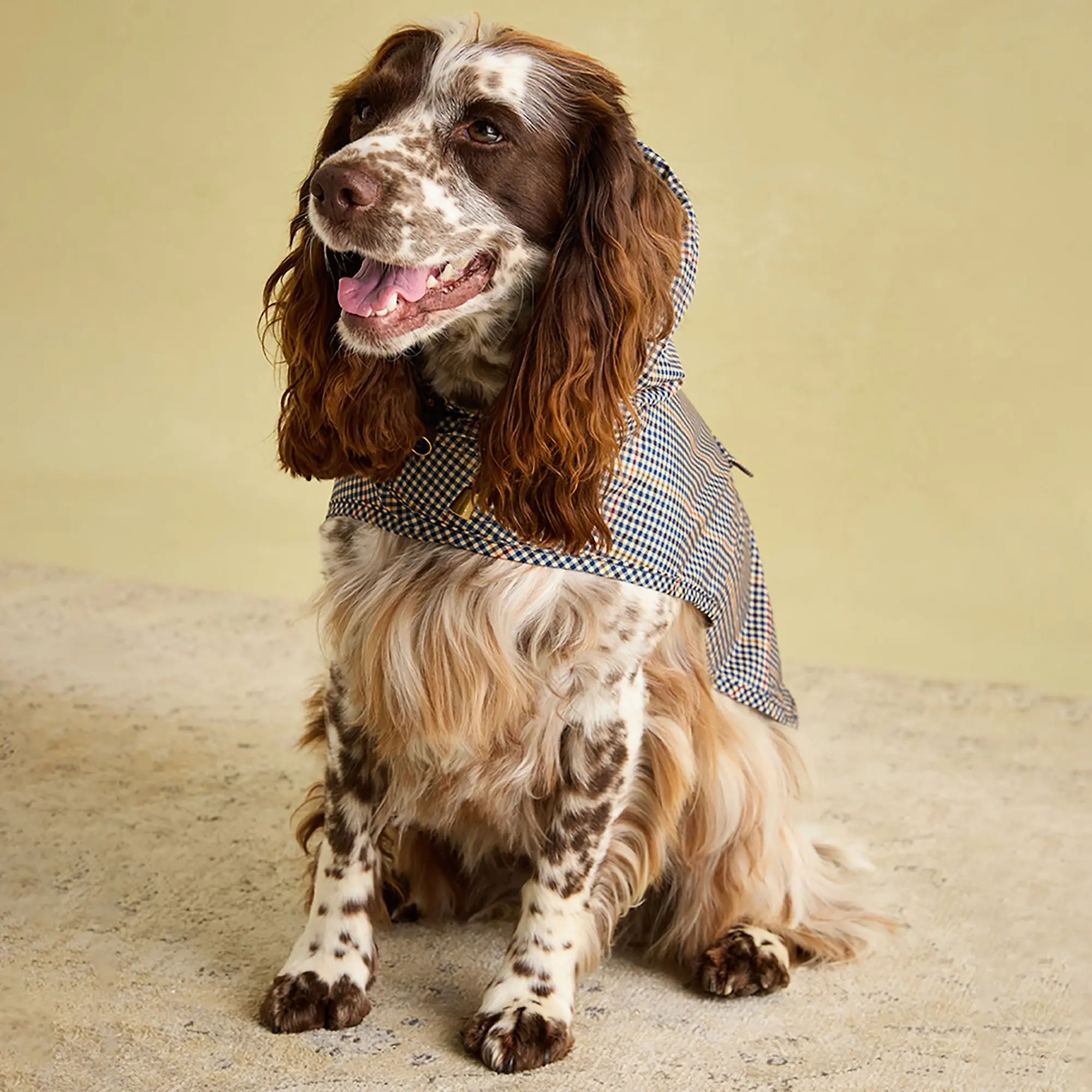 Product image 8 of 16 of Joules Packaway Dog Jacket - Henson Check