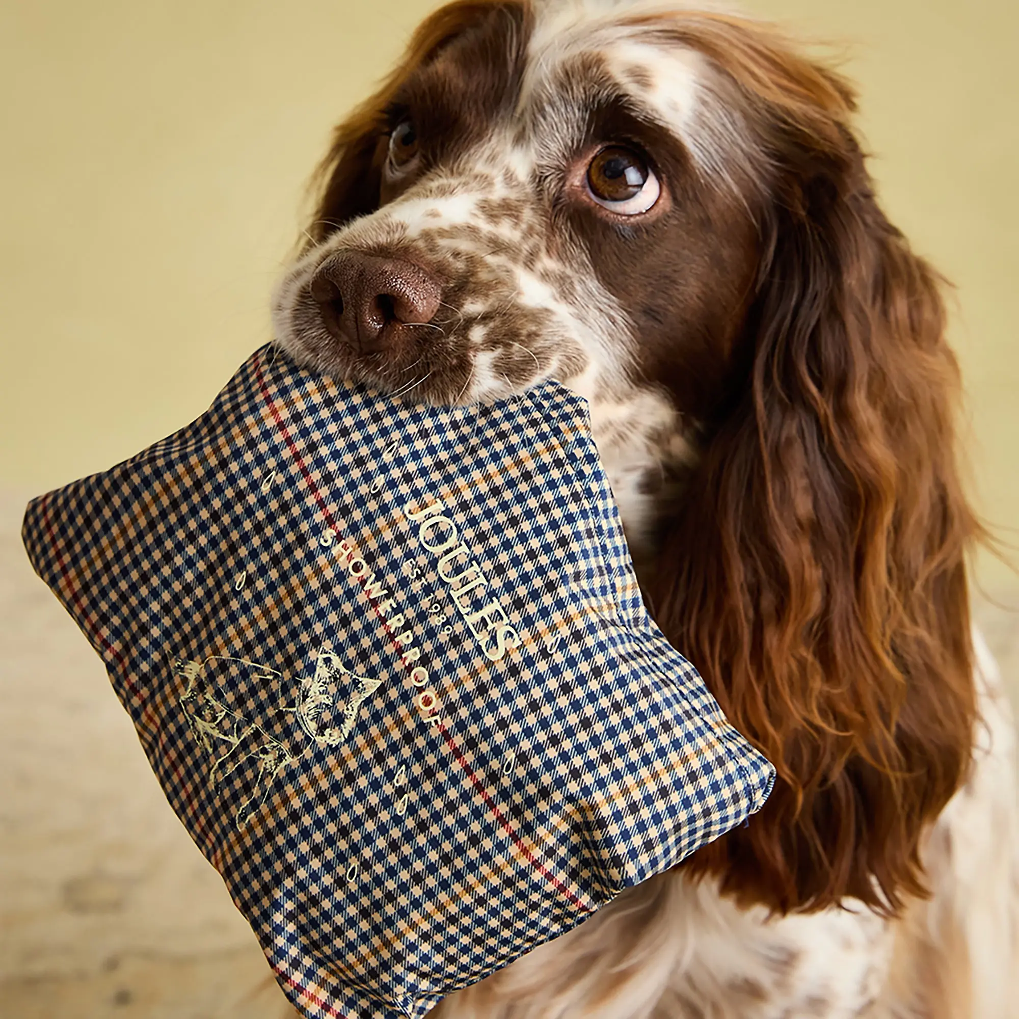 Product image 9 of 16 of Joules Packaway Dog Jacket - Henson Check