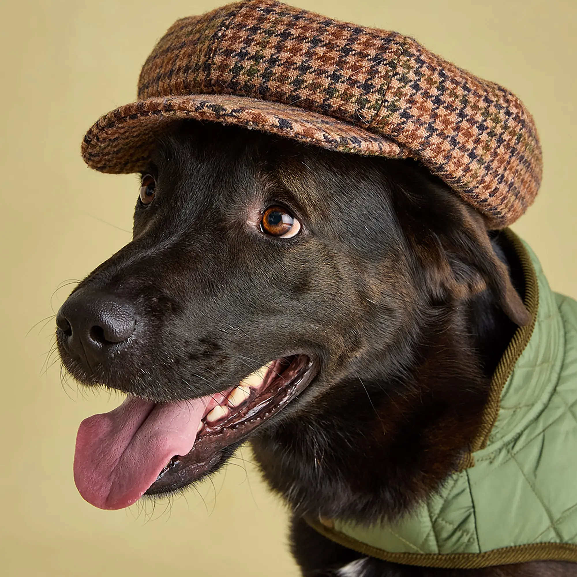 Product image 10 of 15 of Joules Quilted Dog Coat - Khaki