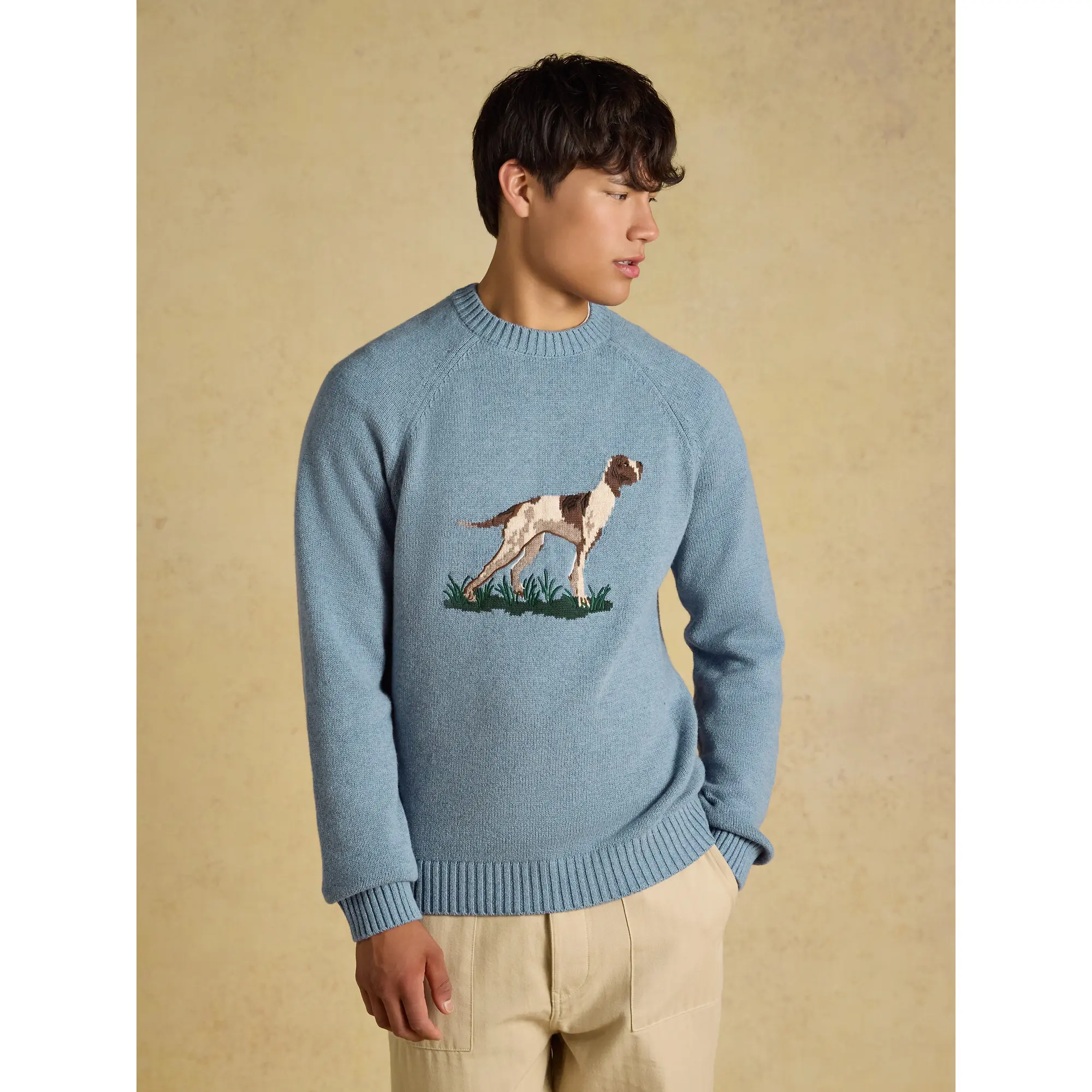 Product image 2 of 8 of Joules Men's Intarsia Crew Neck Dog Jumper - Blue