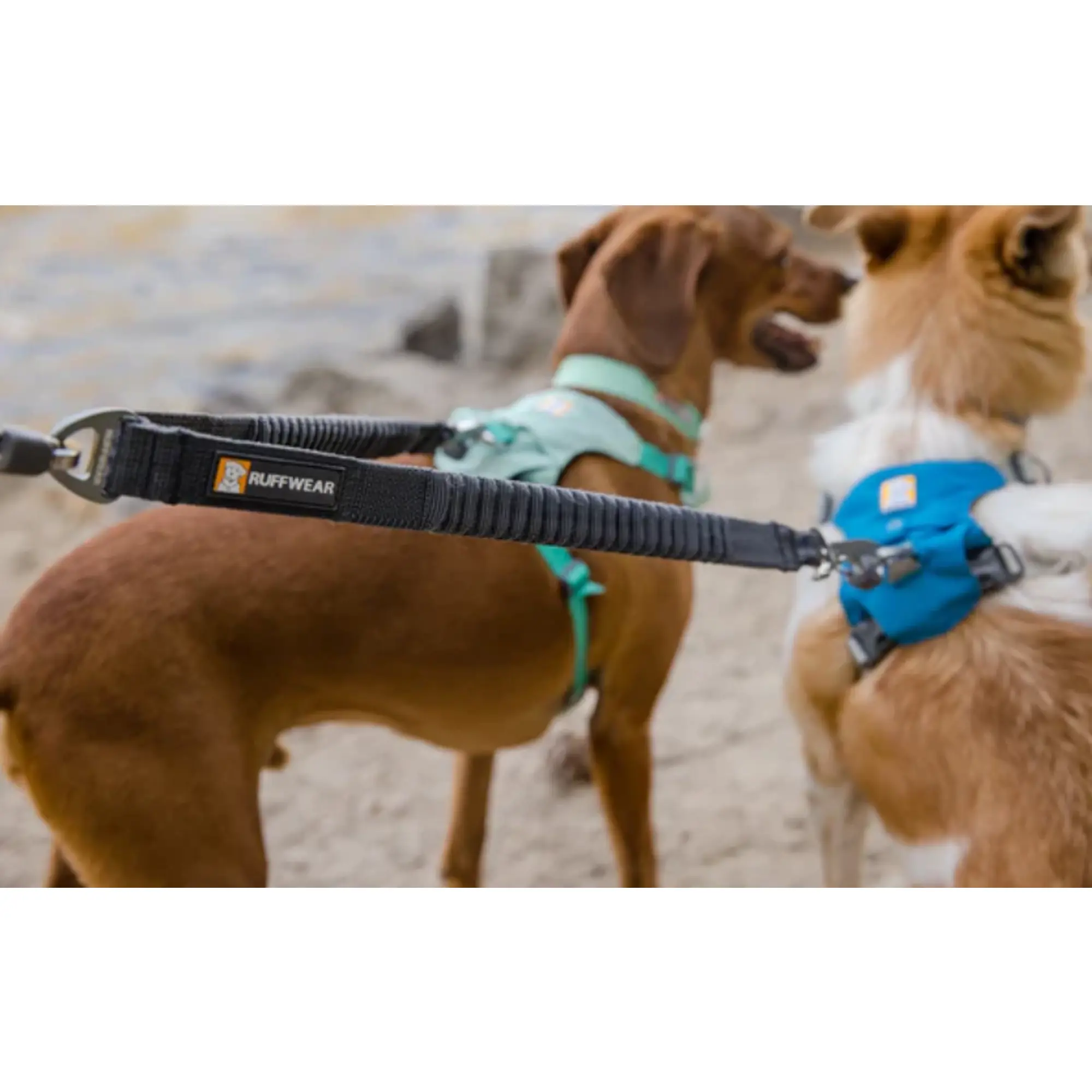 Product image 7 of 8 of RUFFWEAR Double Track Dog Lead Coupler - Basalt Grey