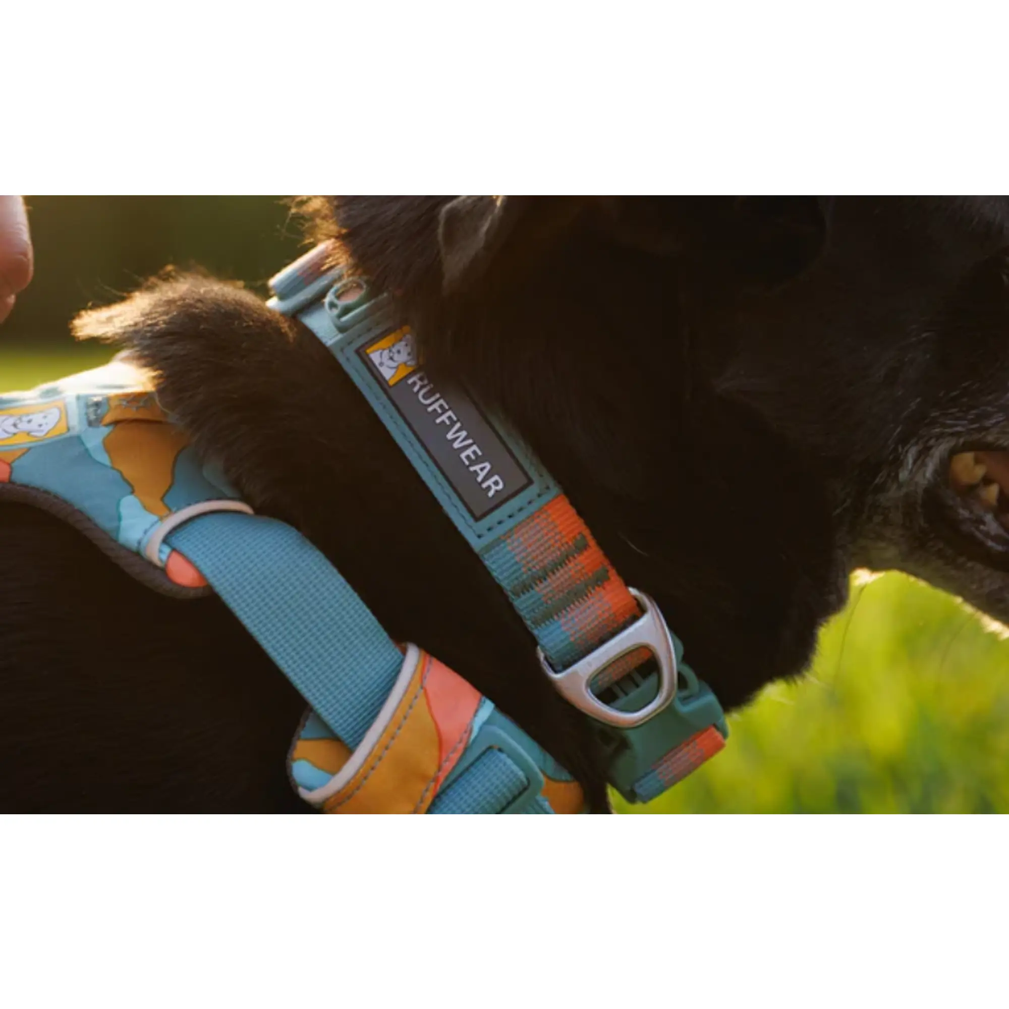 Product image 4 of 7 of RUFFWEAR Front Range Dog Collar - Basalt Gray