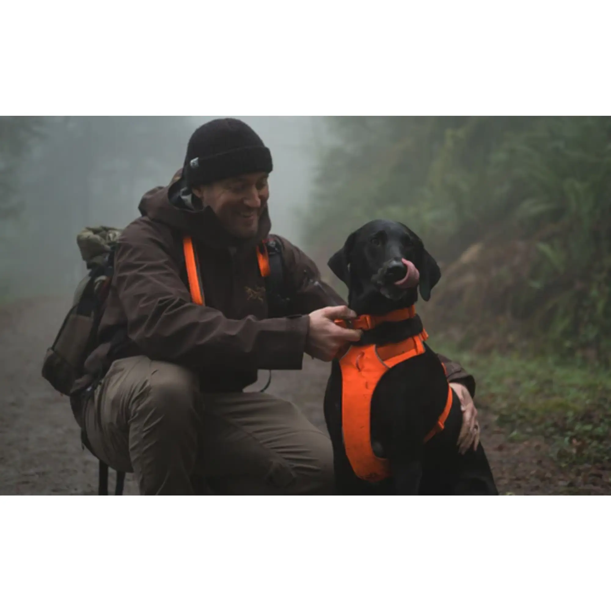 Product image 13 of 15 of RUFFWEAR Front Range Dog Harness - Moonlight Mountains