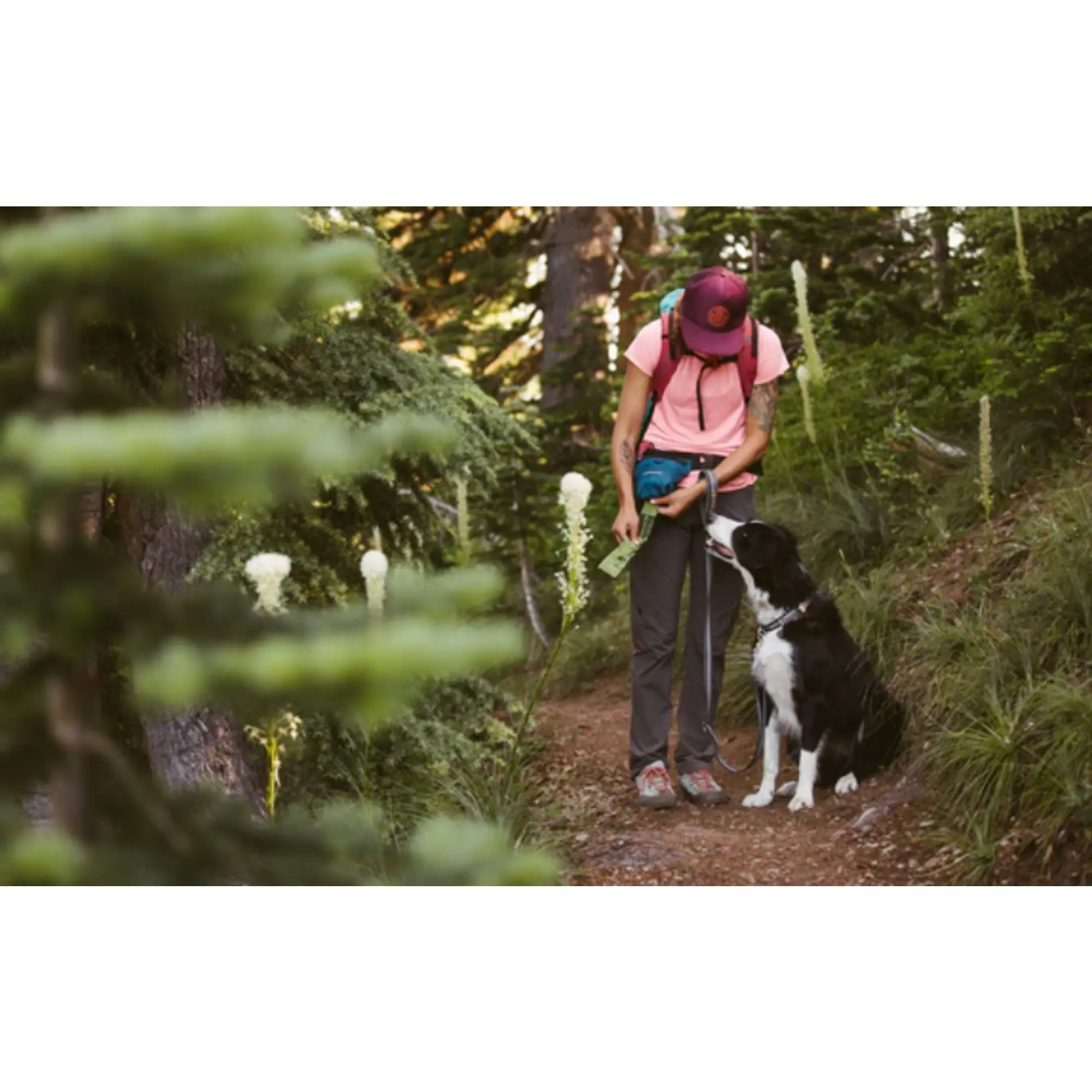 Product image 6 of 7 of RUFFWEAR Pack Out Bag (Large) - Basalt Grey