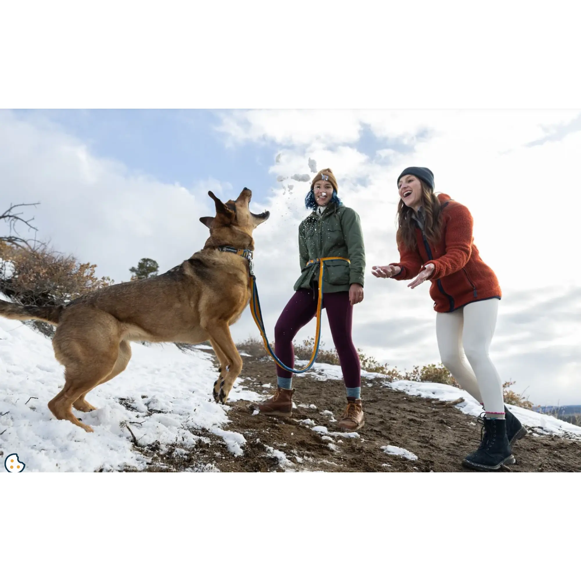 Product image 8 of 11 of RUFFWEAR Roamer Bungee Dog Lead - Orion Blue
