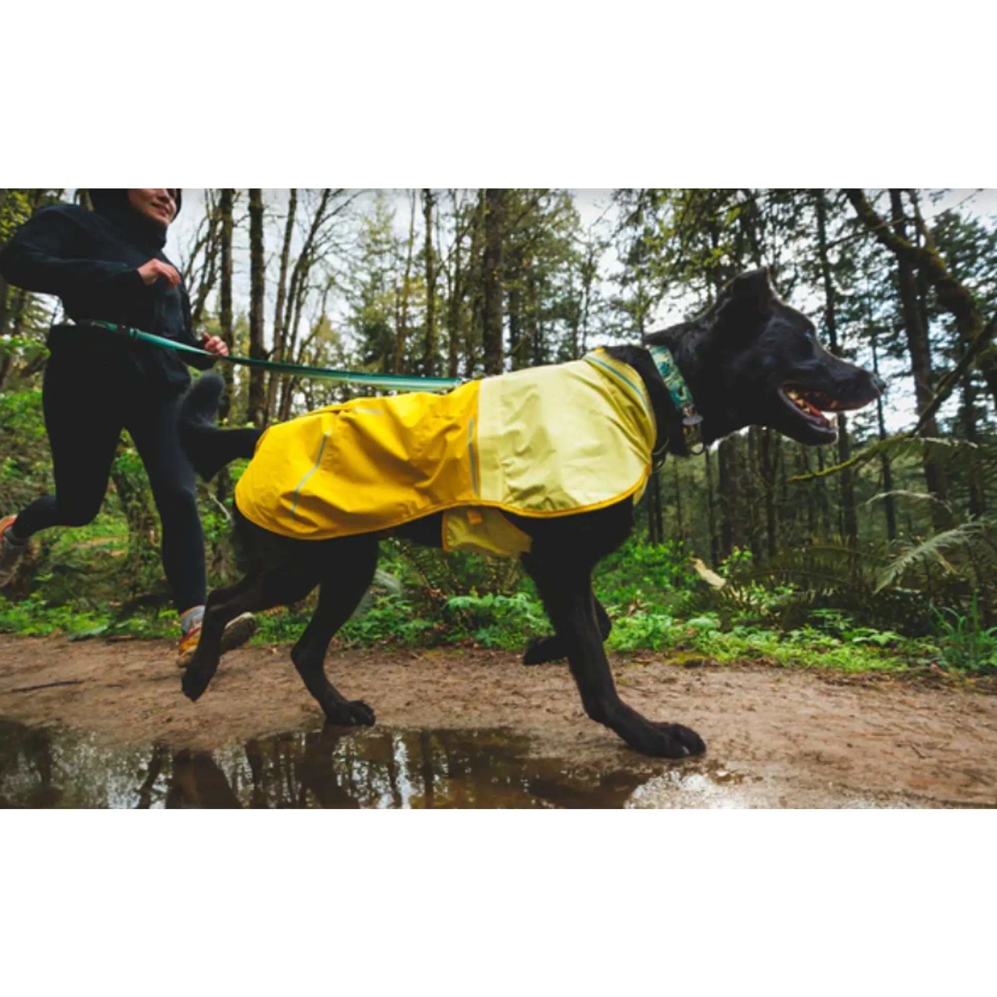 Product image 17 of 18 of RUFFWEAR Sun Shower Dog Raincoat - Midnight Blue