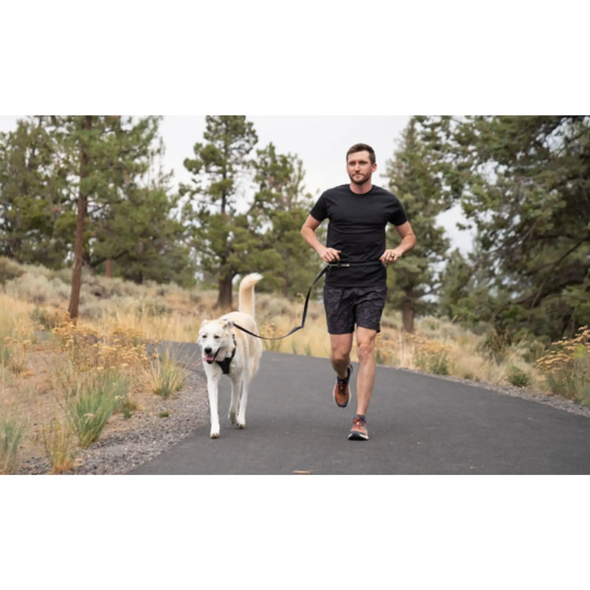 Product image 12 of 14 of RUFFWEAR Switchbak Double-Ended Dog Lead - Basalt Grey