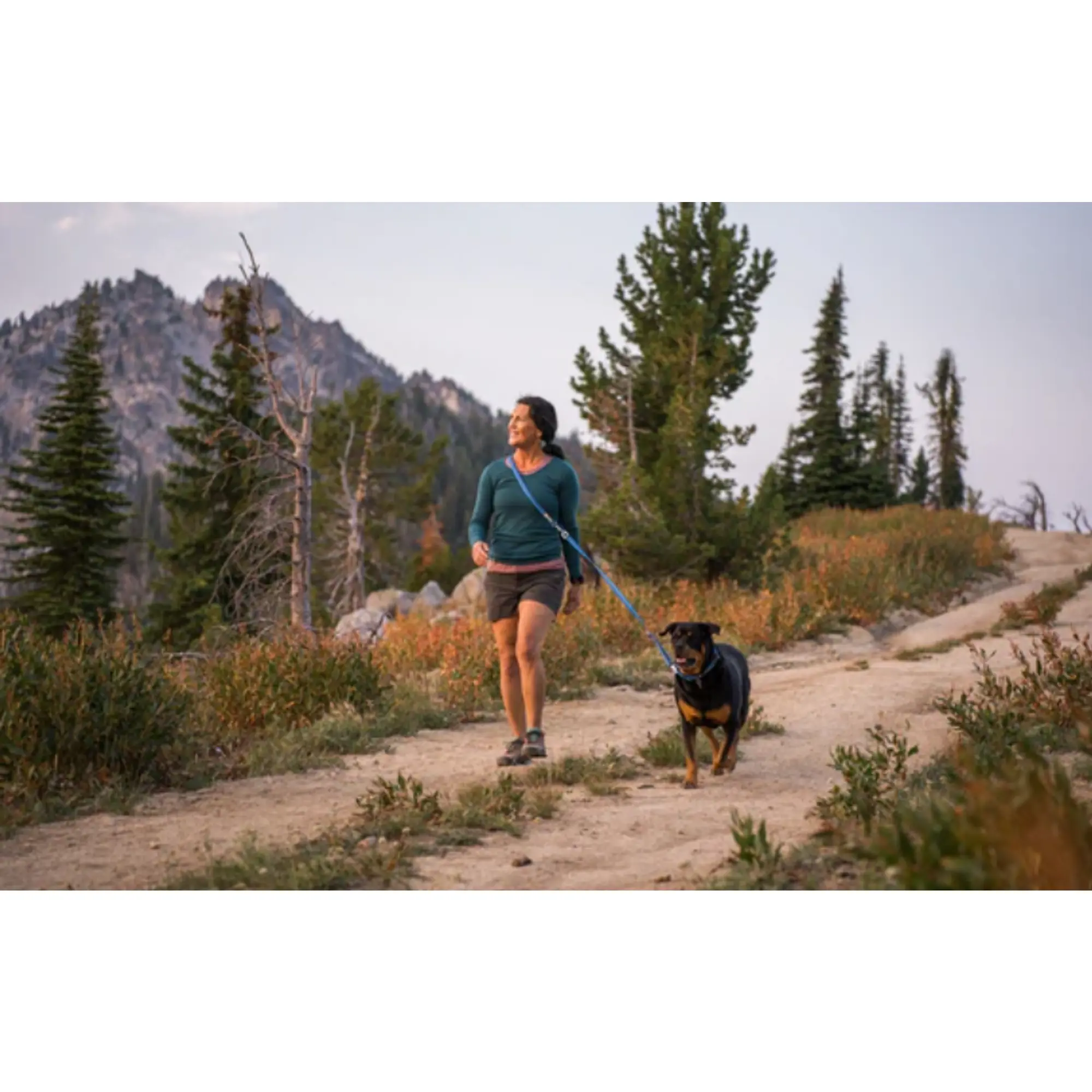 Product image 13 of 14 of RUFFWEAR Switchbak Double-Ended Dog Lead - Basalt Grey