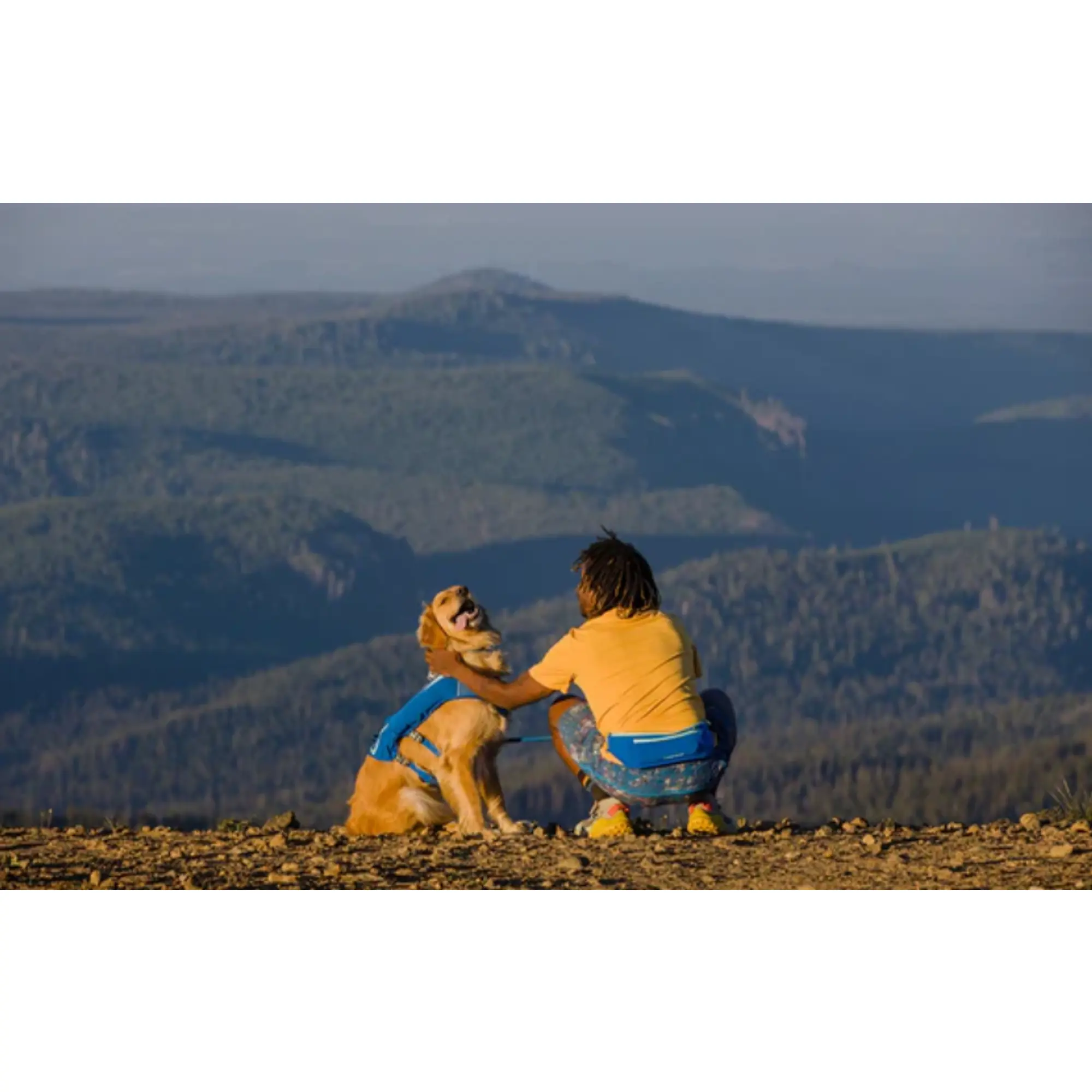 Product image 10 of 14 of RUFFWEAR Trail Runner Running Belt (Small/Medium) Blue Pool