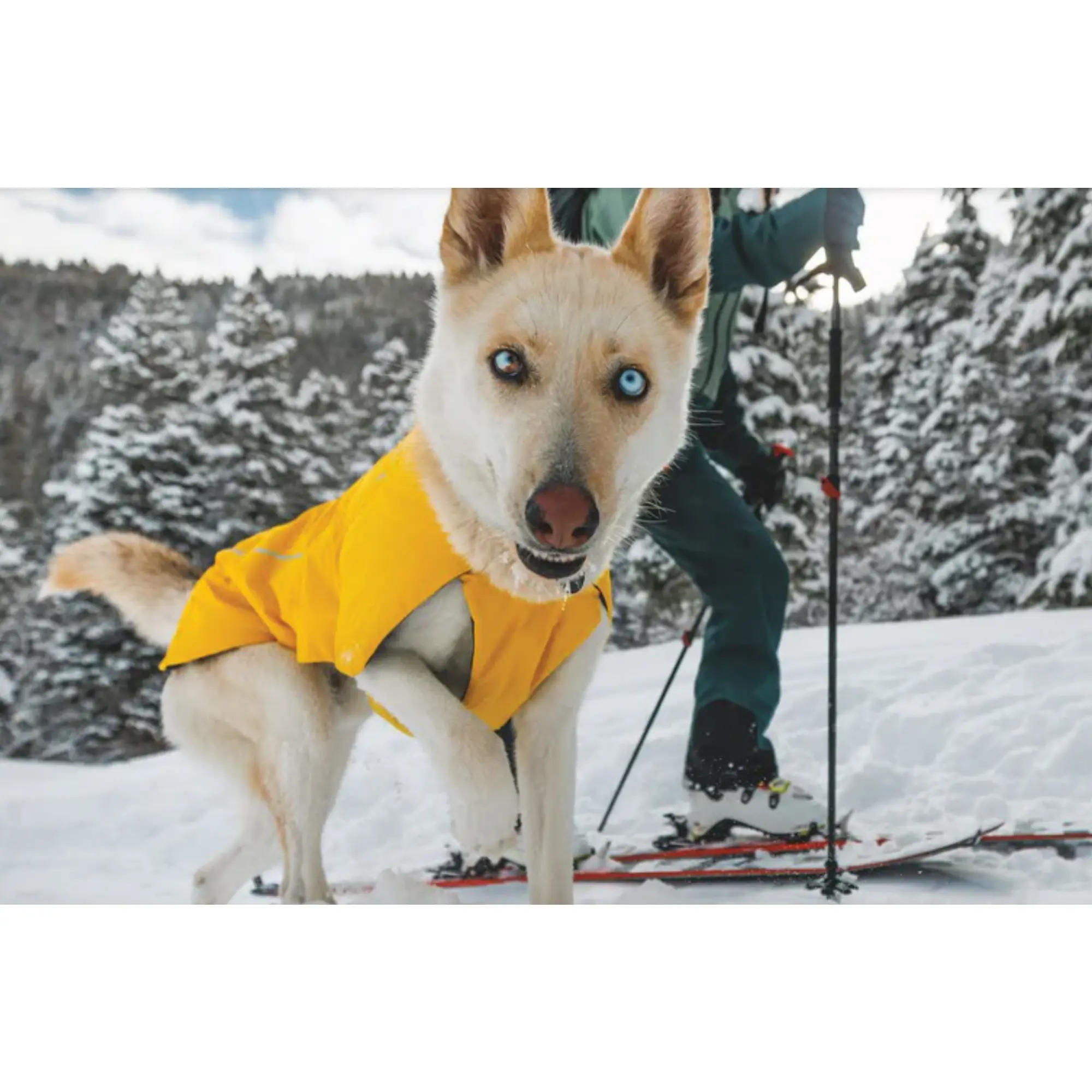 Product image 6 of 14 of RUFFWEAR Vert™ Dog Jacket - Mineral Yellow