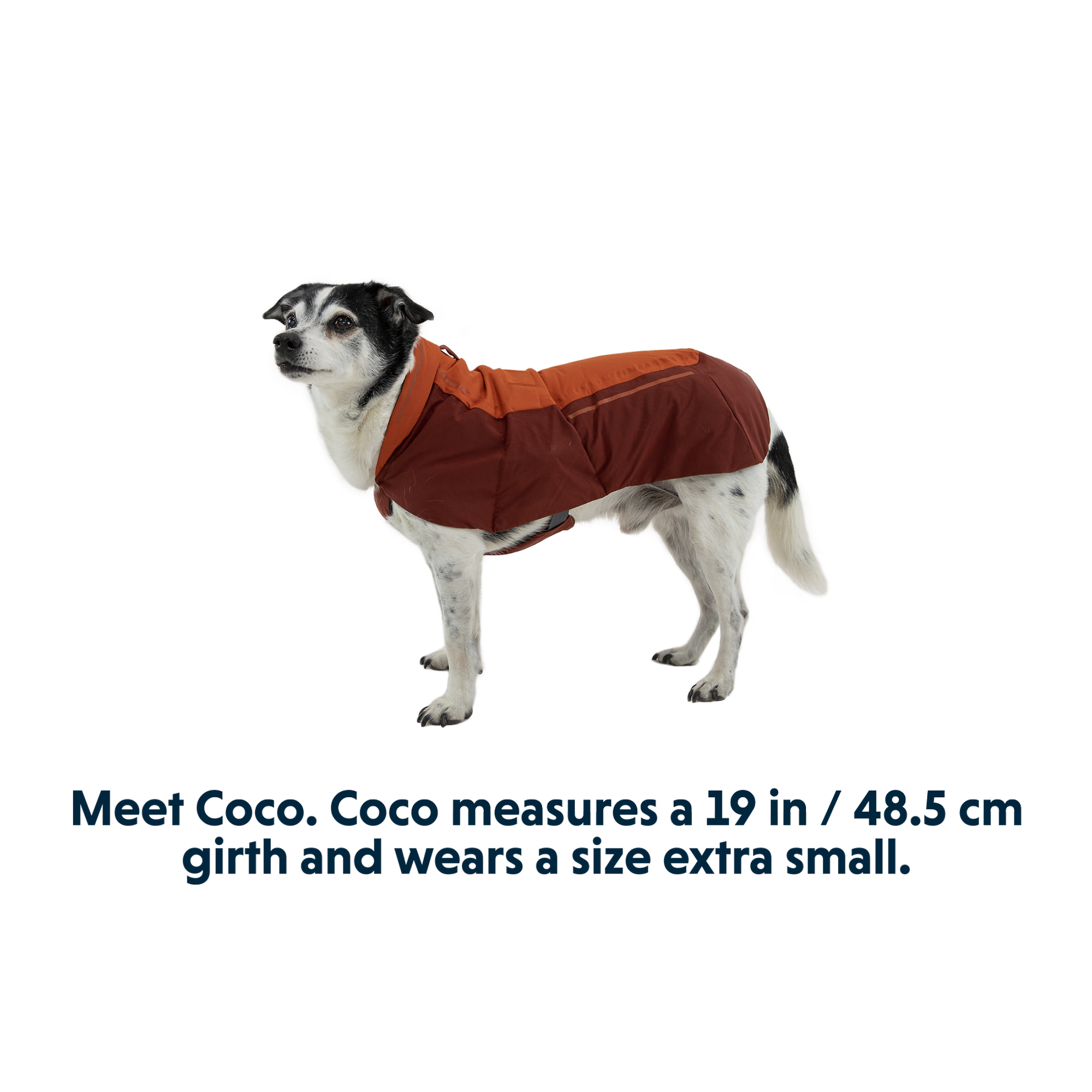 RUFFWEAR Vert™ Dog Jacket - Mineral Yellow | British Attire