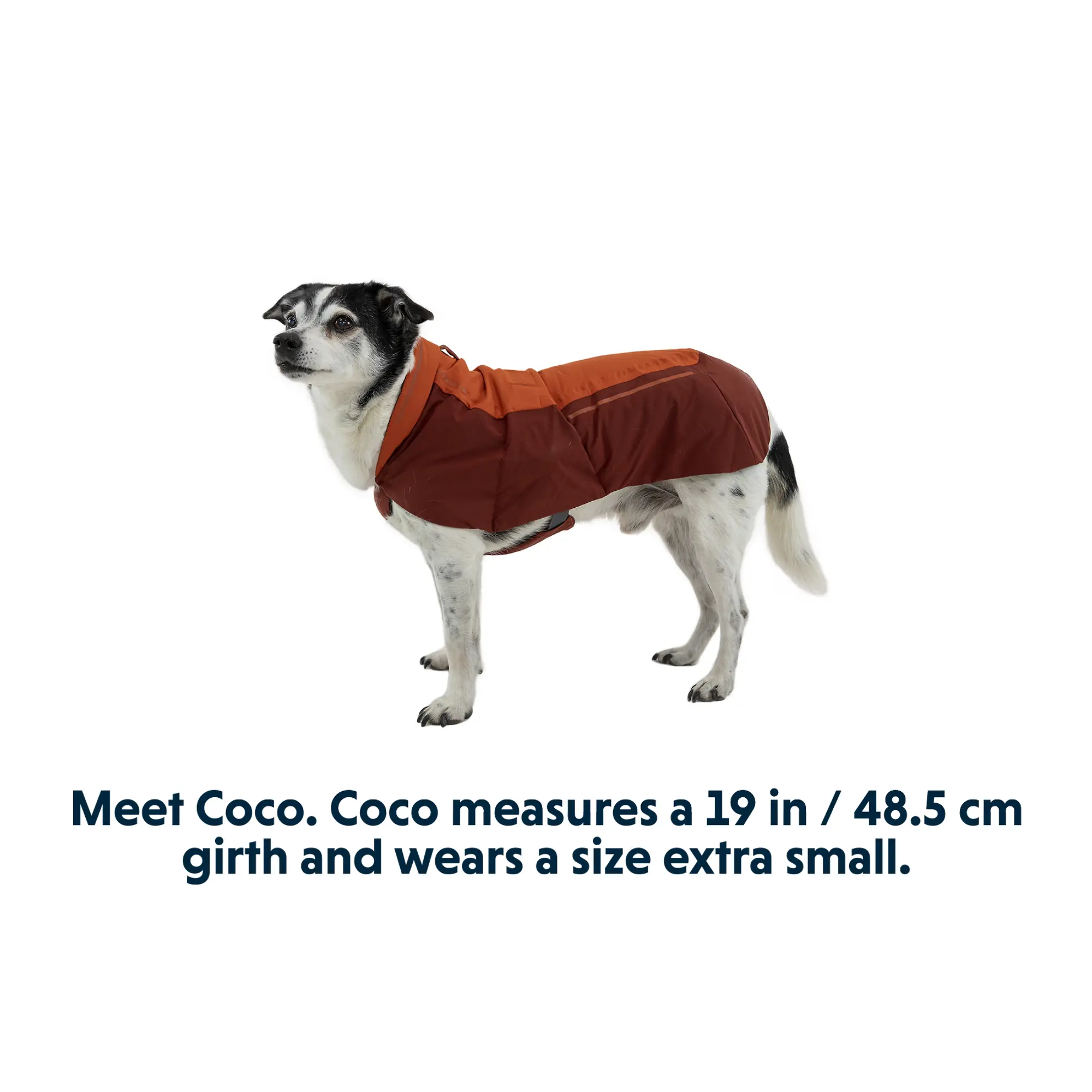 Product image 11 of 14 of RUFFWEAR Vert™ Dog Jacket - Mineral Yellow