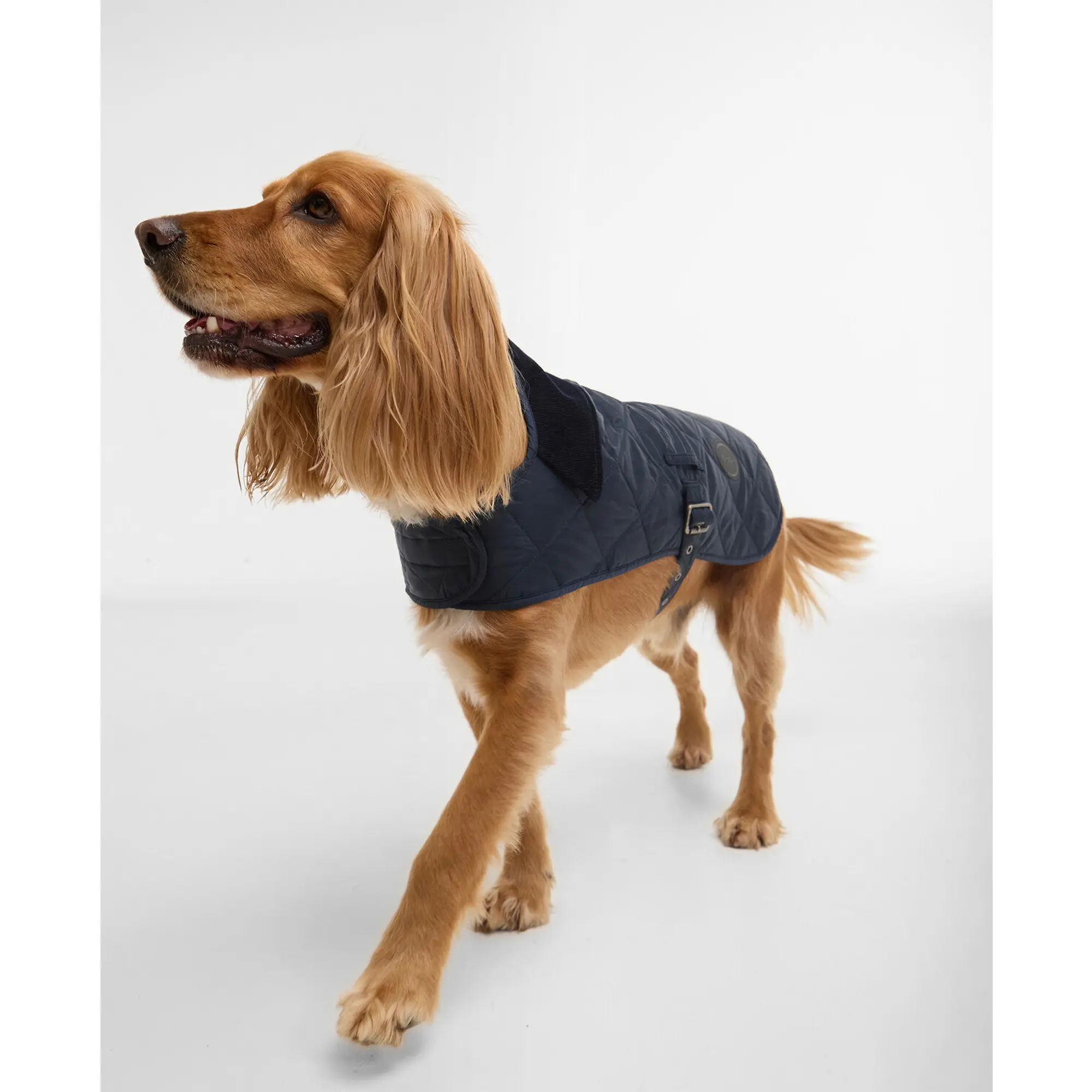Product image 2 of 7 of Barbour Quilted Dog Coat - Dark Navy