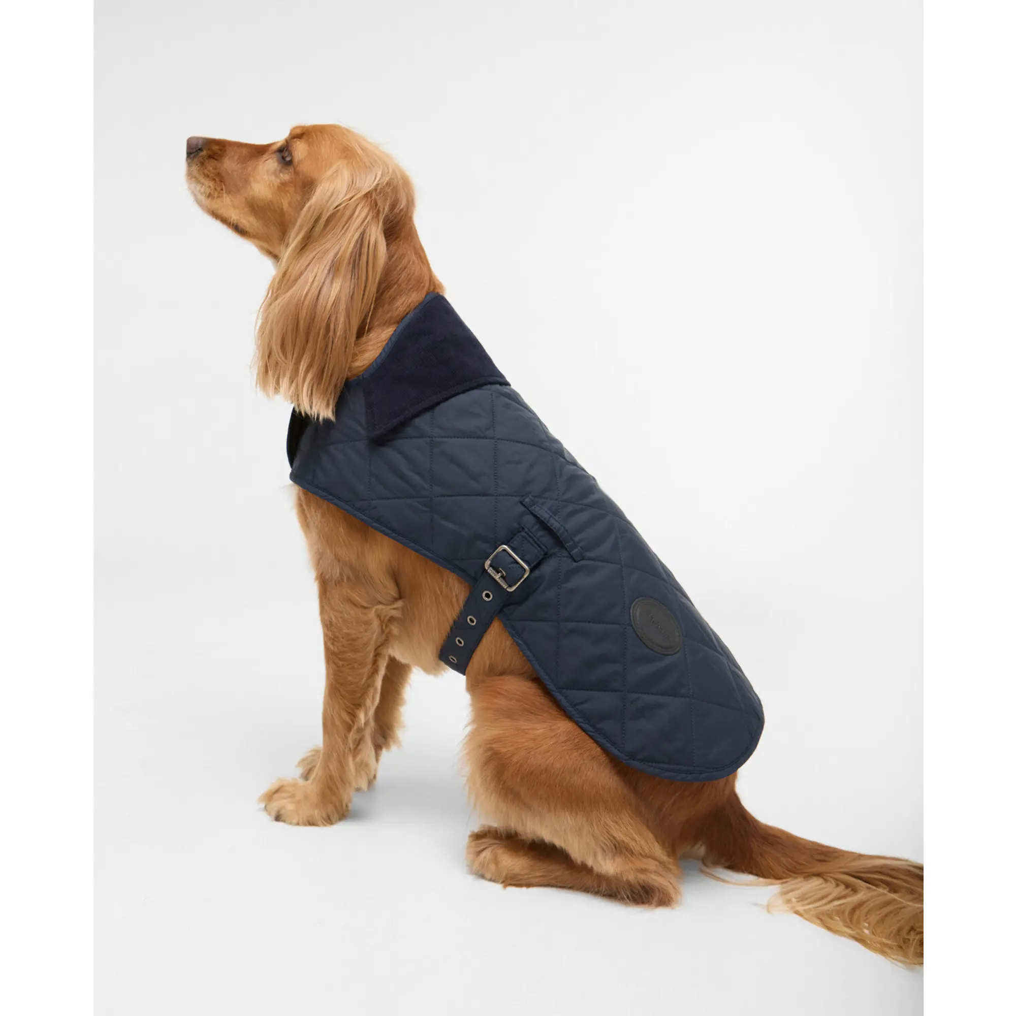 Product image 3 of 7 of Barbour Quilted Dog Coat - Dark Navy