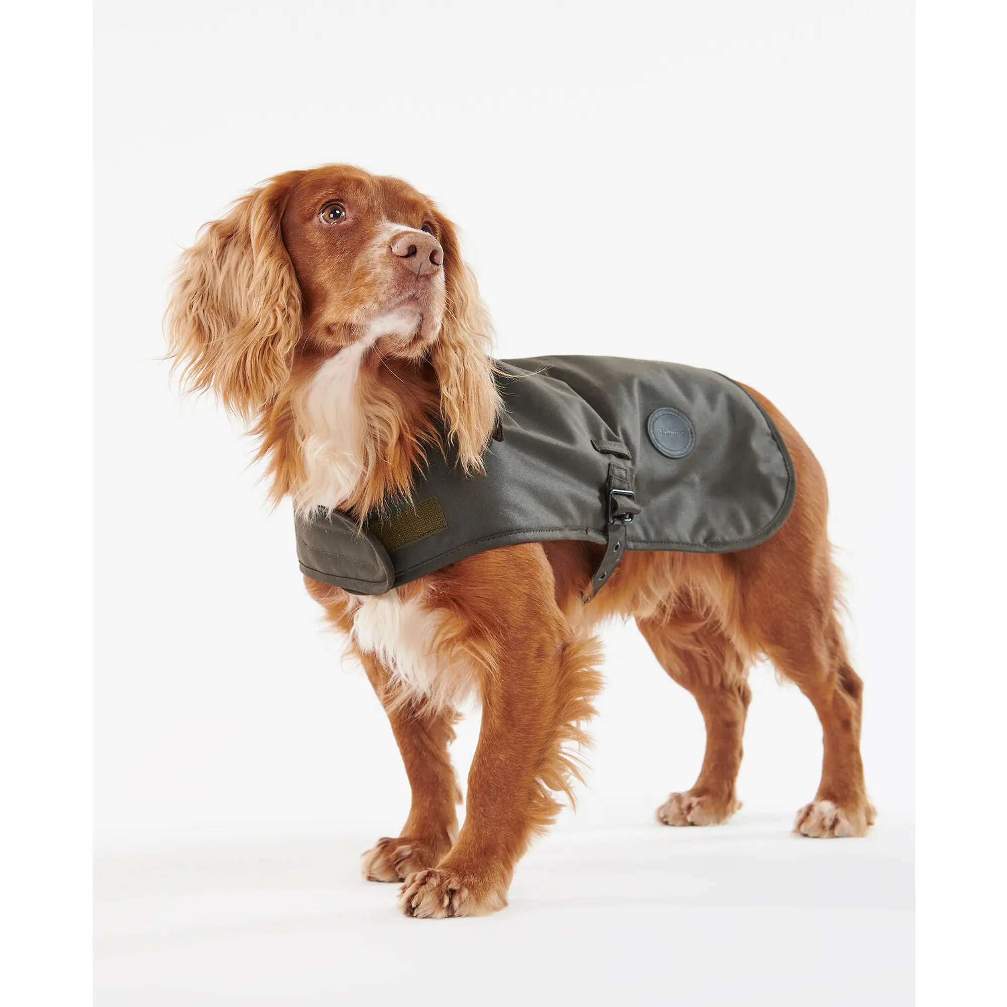 Product image 3 of 8 of Barbour Waxed Dog Coat - Olive