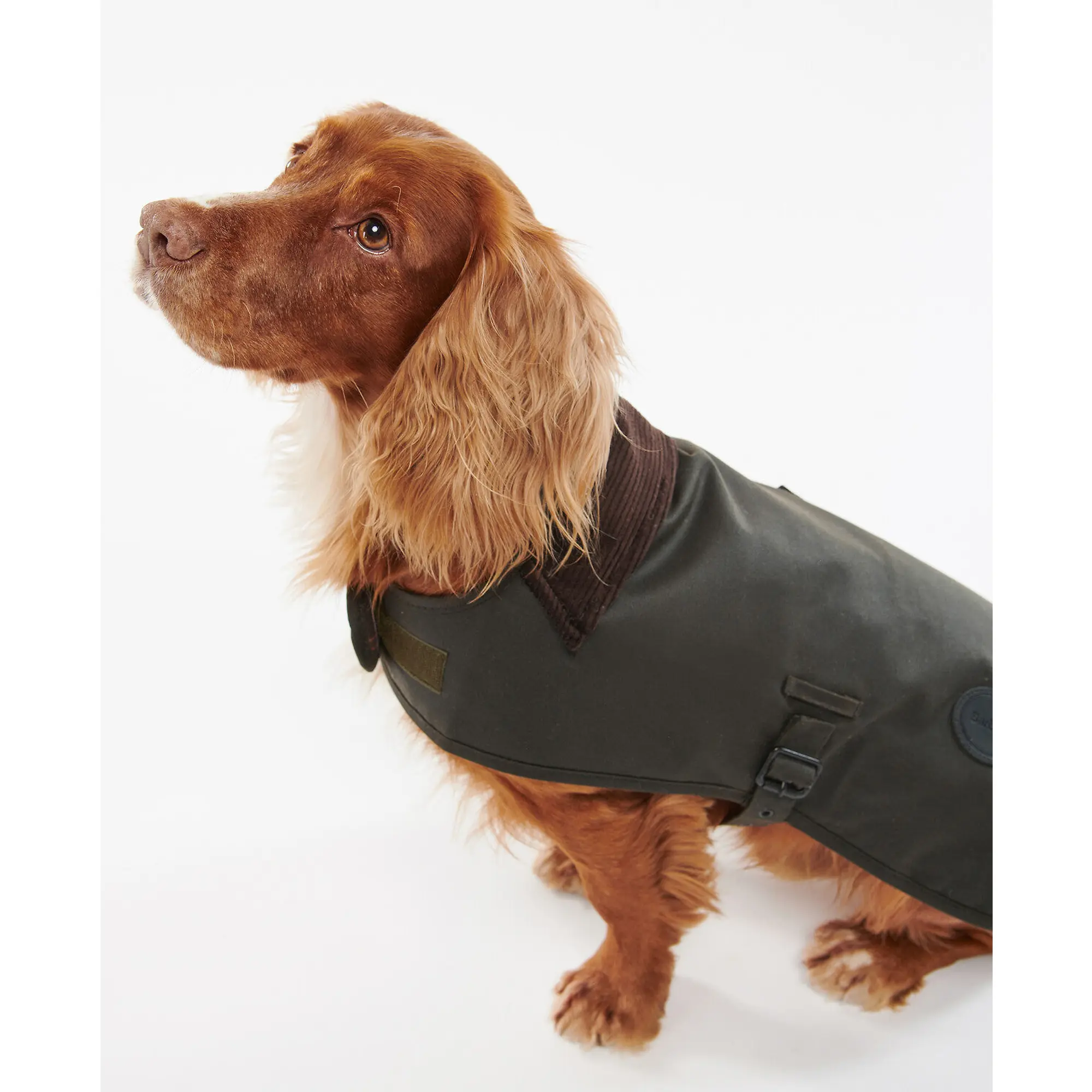 Product image 2 of 8 of Barbour Waxed Dog Coat - Olive