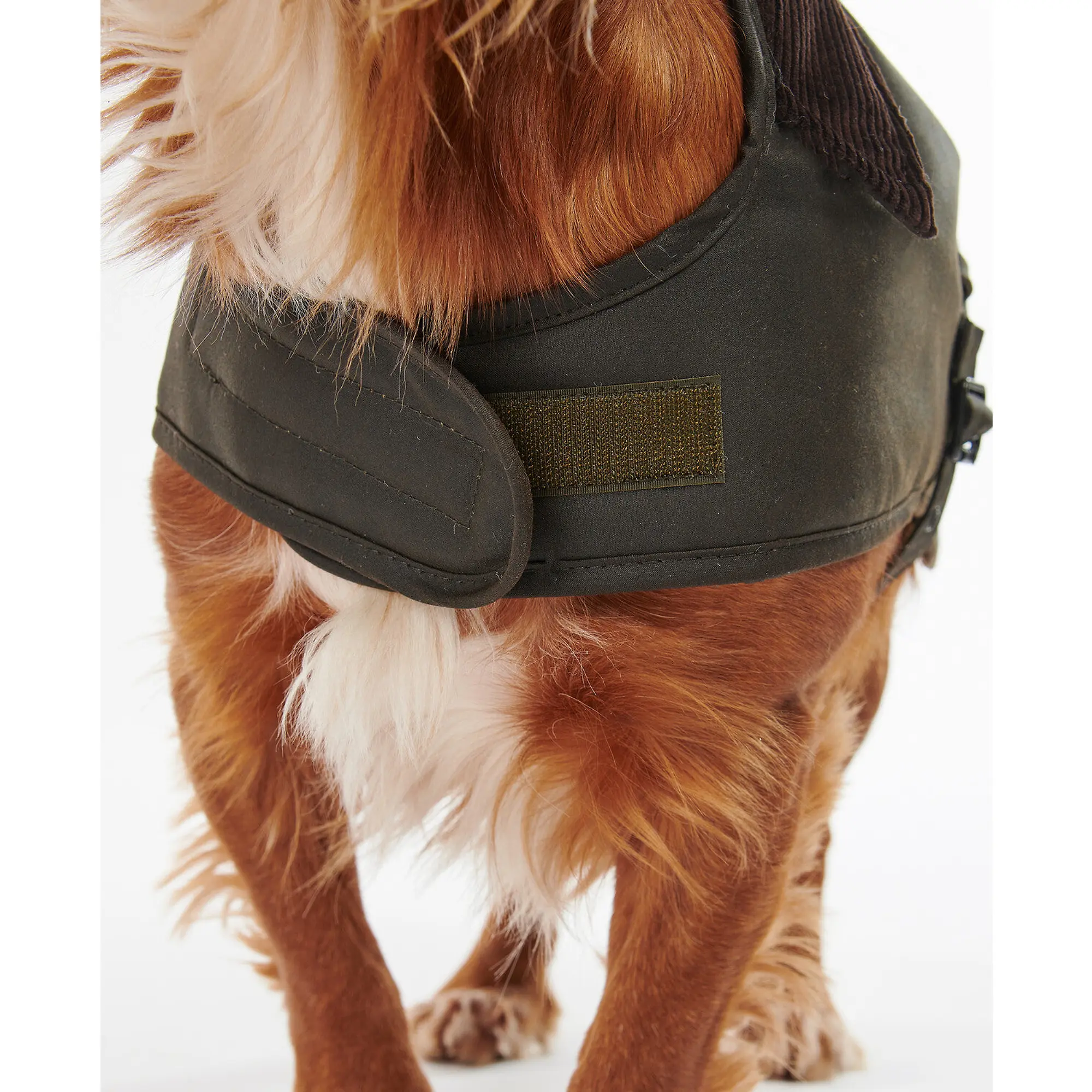 Product image 4 of 8 of Barbour Waxed Dog Coat - Olive