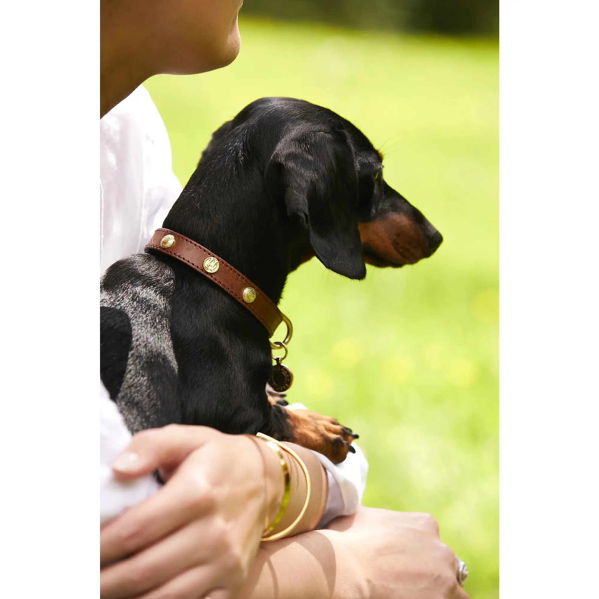 Product image 2 of 8 of Holland Cooper HC Studded Dog Collar - Chestnut