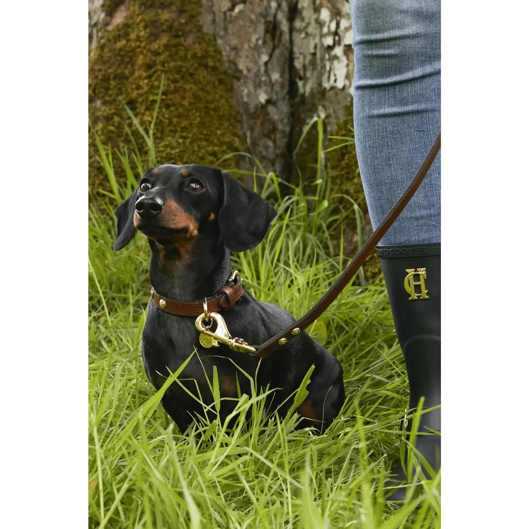 Product image 7 of 8 of Holland Cooper HC Studded Dog Collar - Chestnut