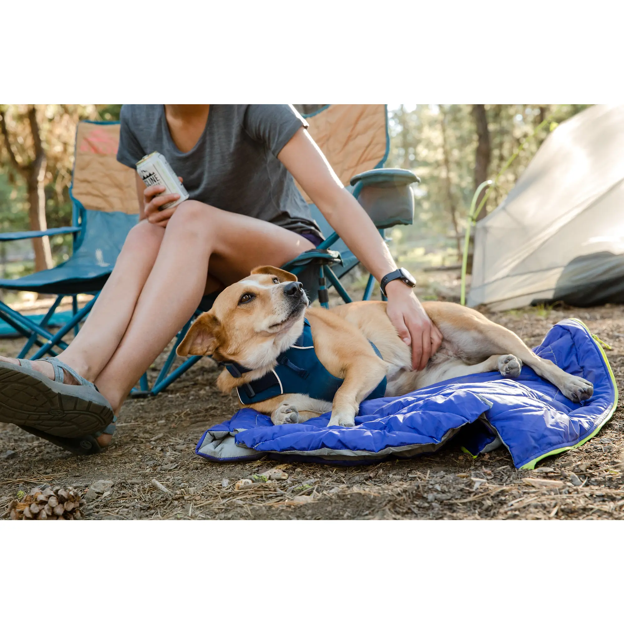 Product image 3 of 9 of RUFFWEAR Highlands Dog Sleeping Bag - Huckleberry Blue