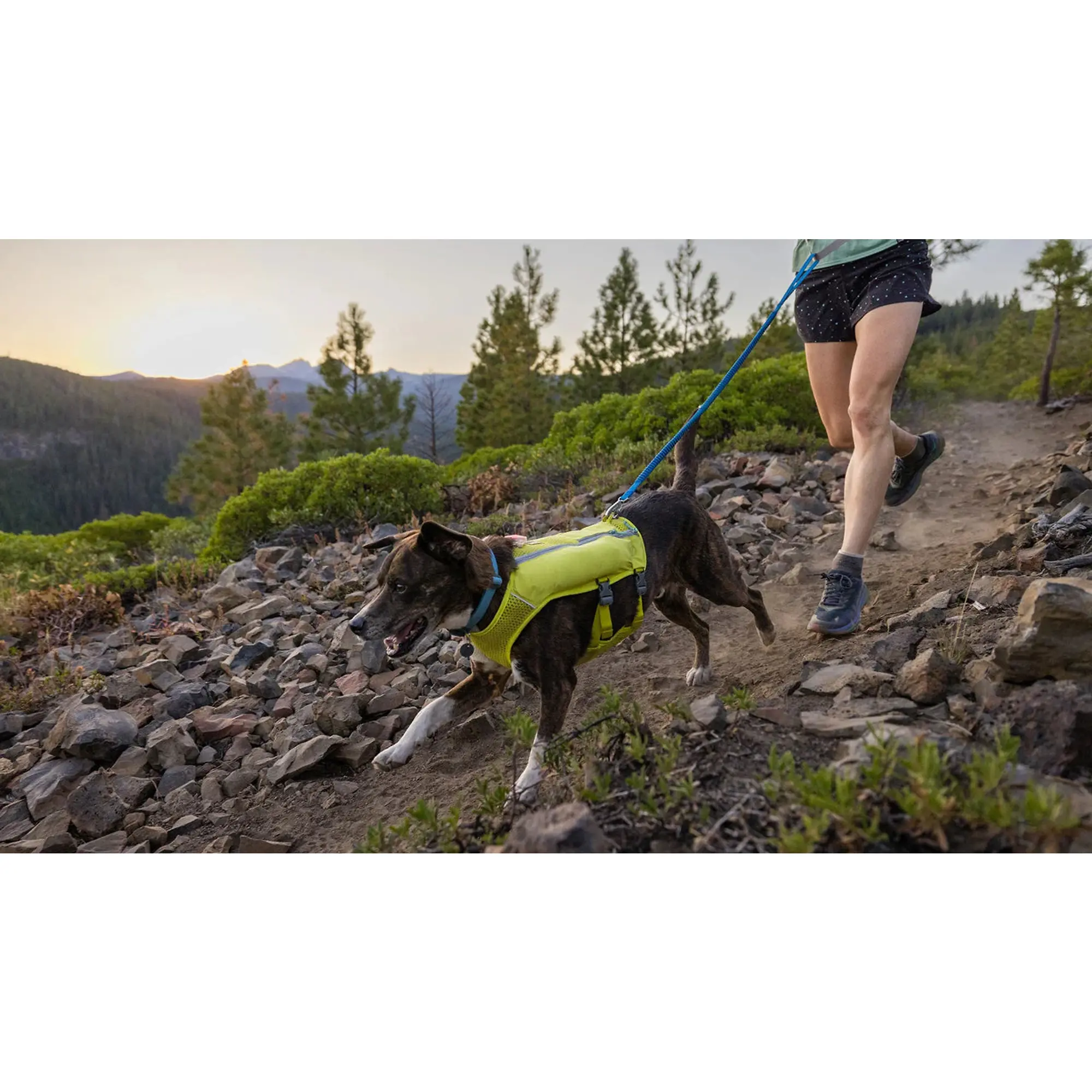 Product image 6 of 9 of RUFFWEAR Trail Runner Dog Lead - Blue Pool