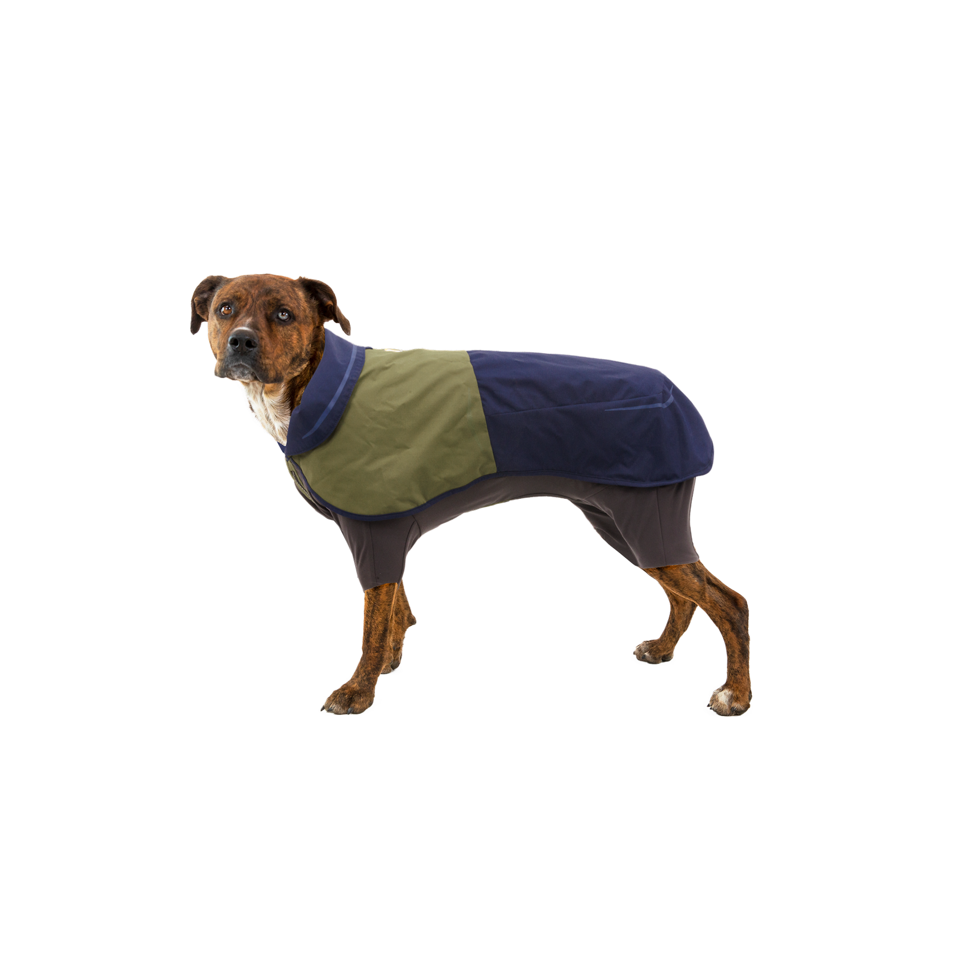 Product image 2 of 8 of RUFFWEAR Sun Shower Coverall Dog Rain Suit - Midnight Blue