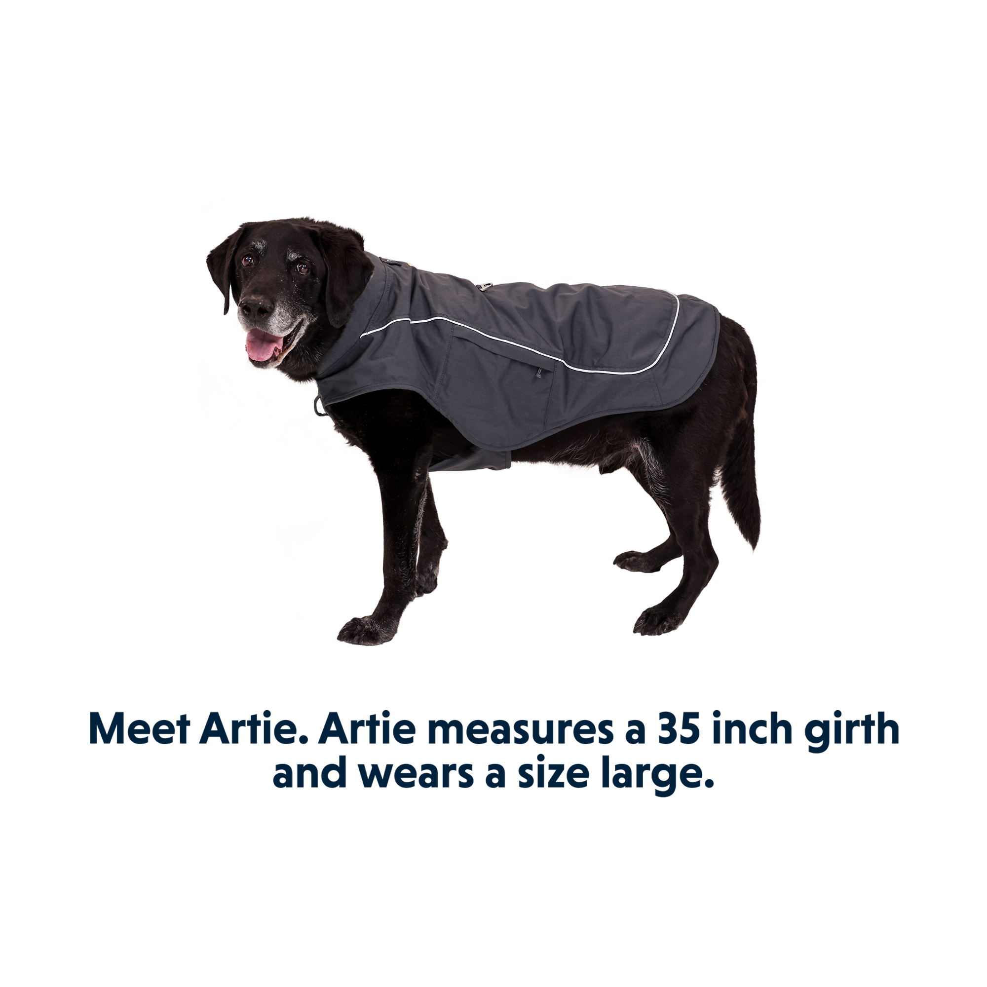 Product image 14 of 15 of RUFFWEAR Overcoat Fuse Dog Jacket/Harness - Basalt Gray