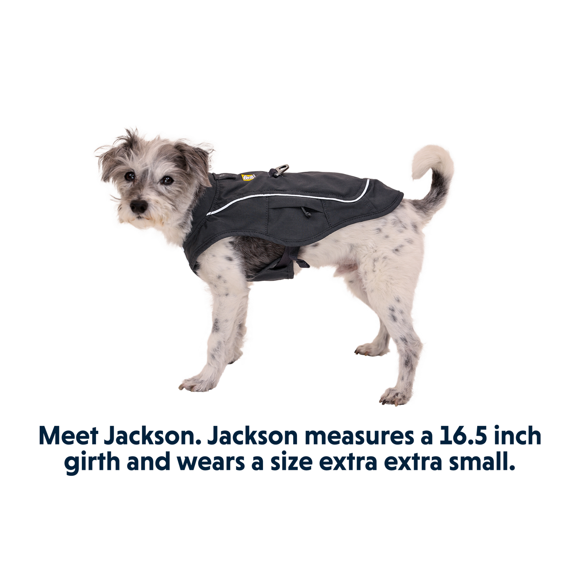 Product image 12 of 15 of RUFFWEAR Overcoat Fuse Dog Jacket/Harness - Basalt Gray