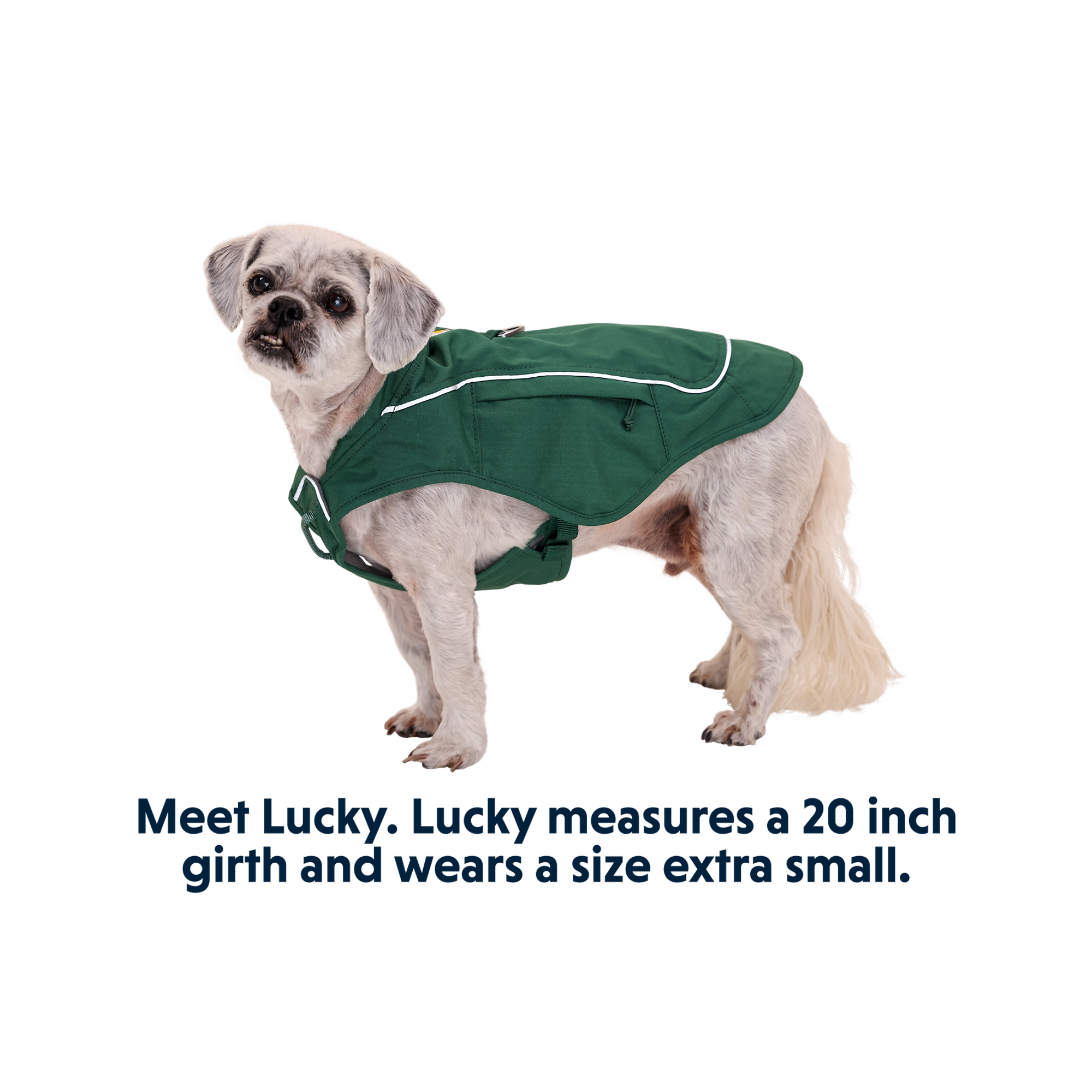 Product image 13 of 15 of RUFFWEAR Overcoat Fuse Dog Jacket/Harness - Basalt Gray