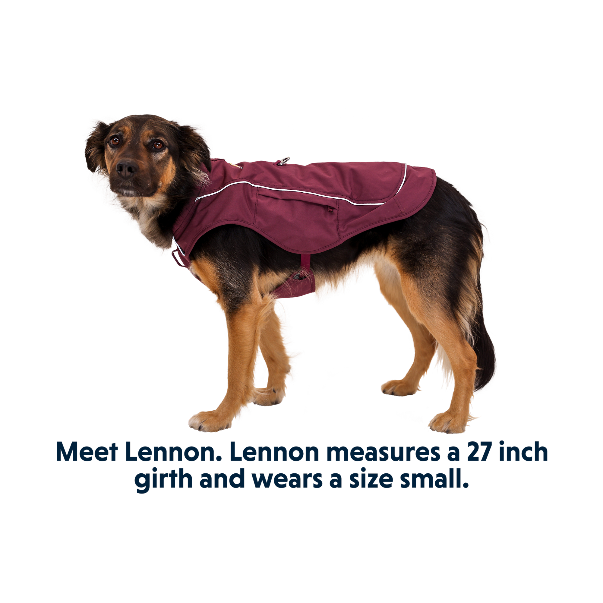 Product image 15 of 15 of RUFFWEAR Overcoat Fuse Dog Jacket/Harness - Basalt Gray