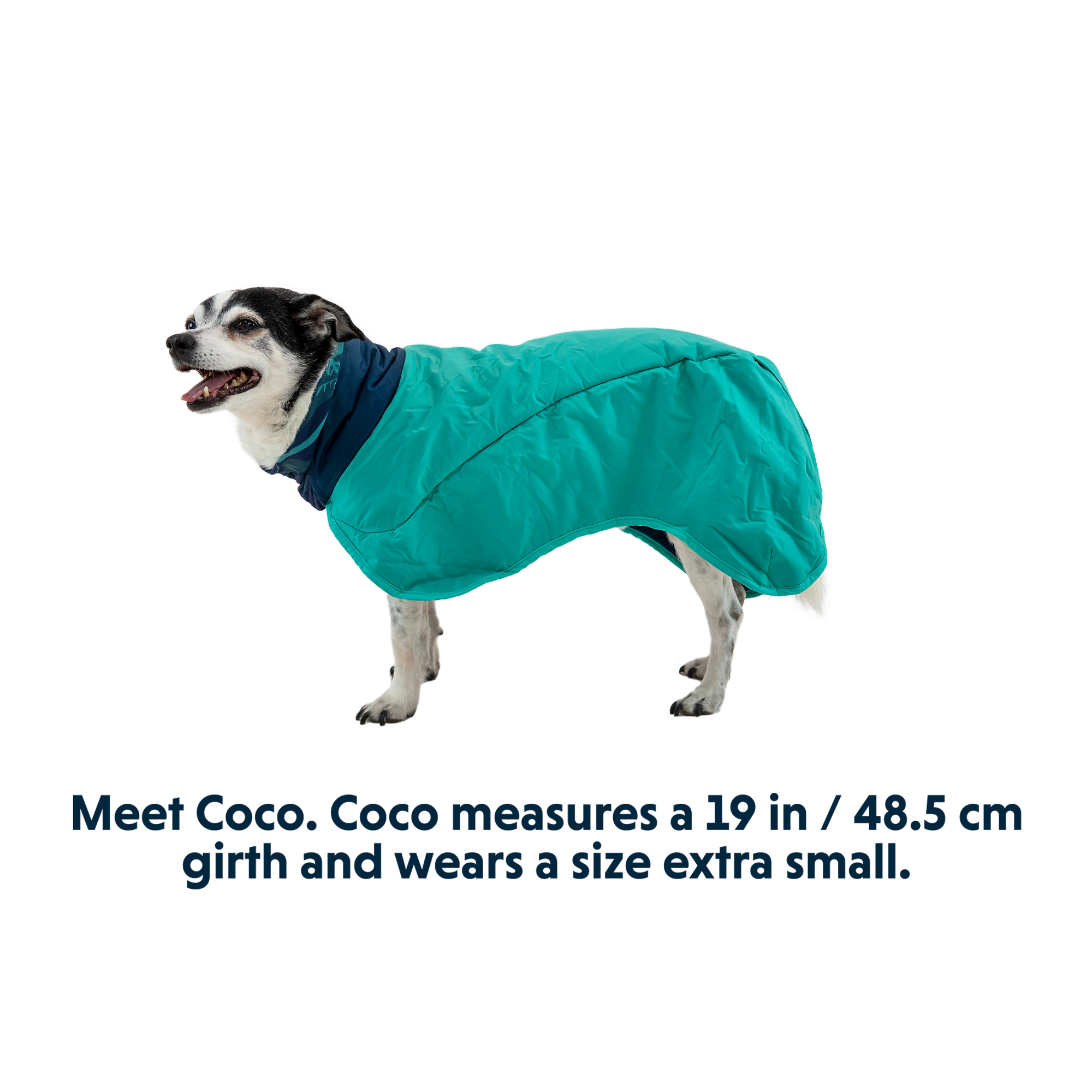 Product image 9 of 16 of RUFFWEAR Dirtbag Dog Drying Towel (Large) - Aurora Teal