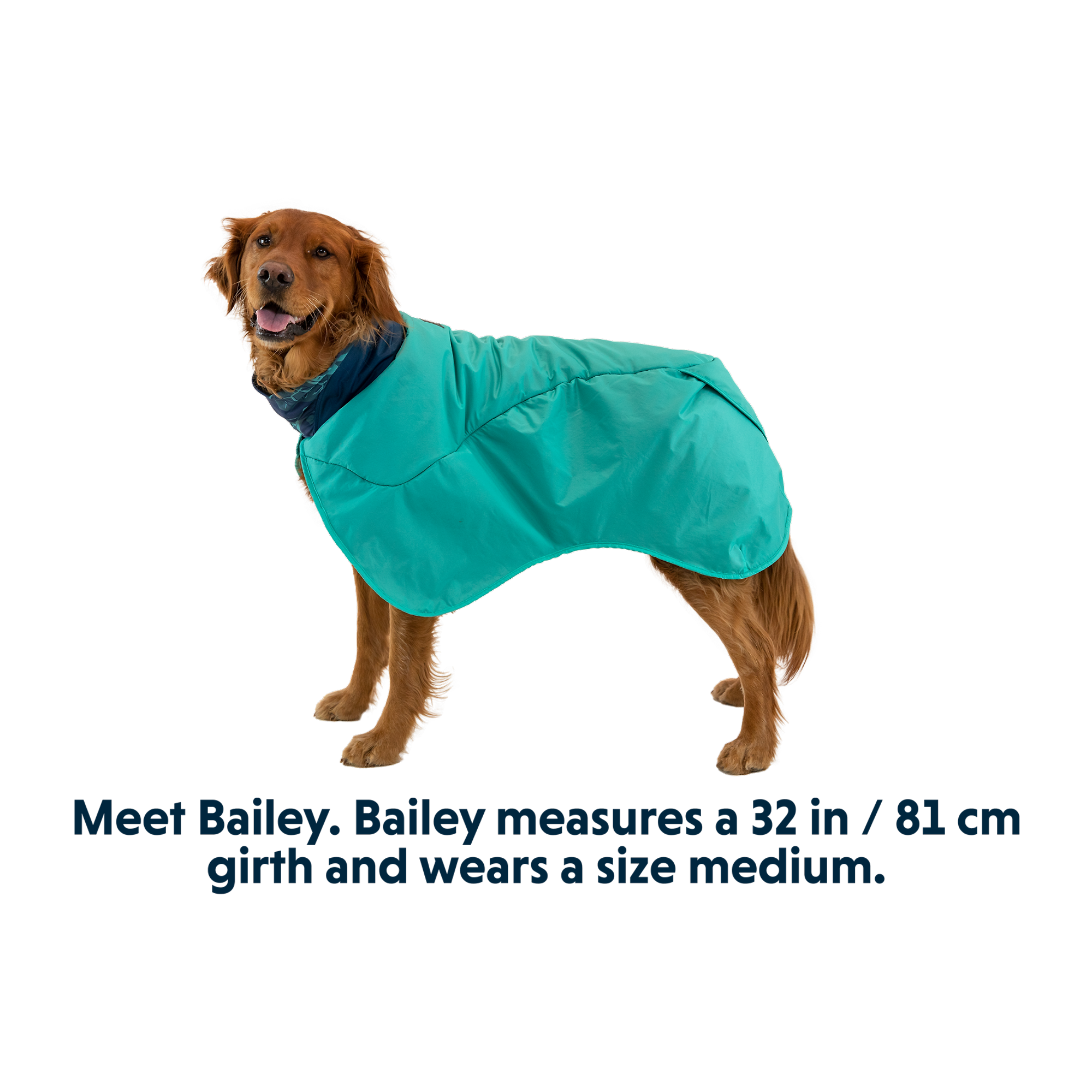 Product image 10 of 16 of RUFFWEAR Dirtbag Dog Drying Towel (Large) - Aurora Teal