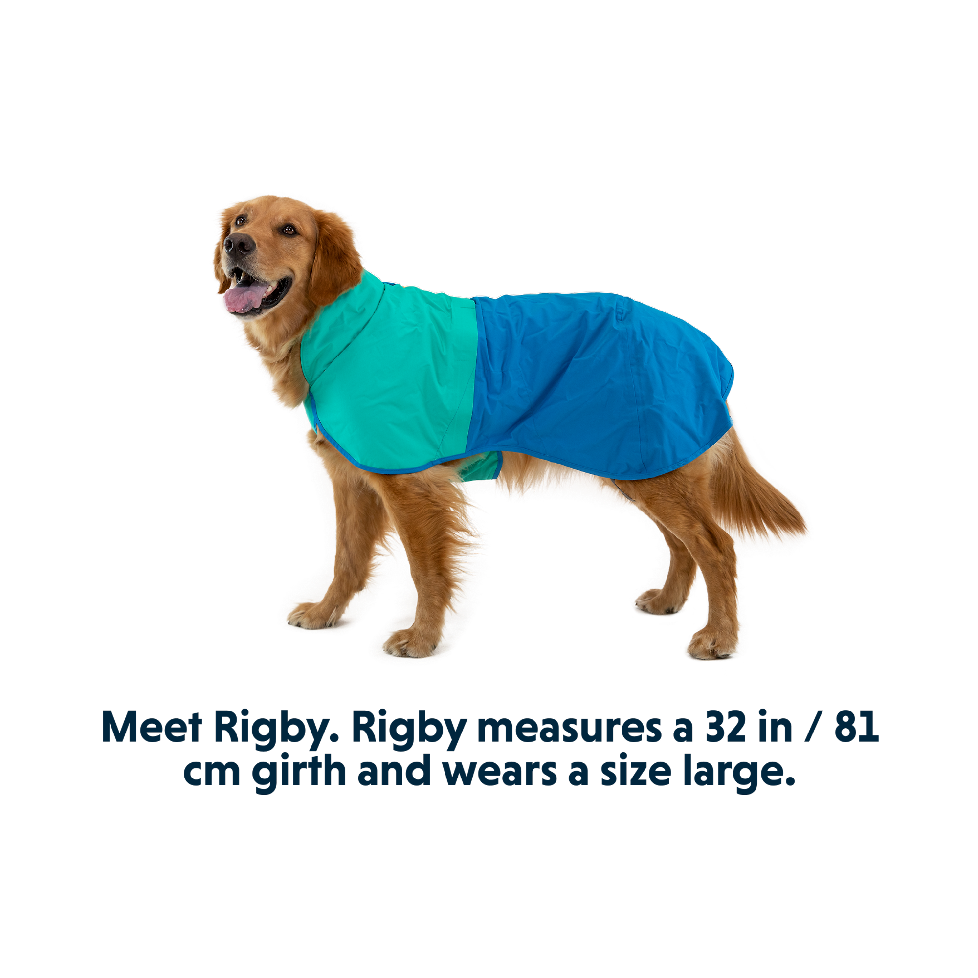Product image 12 of 18 of RUFFWEAR Sun Shower Dog Raincoat - Midnight Blue
