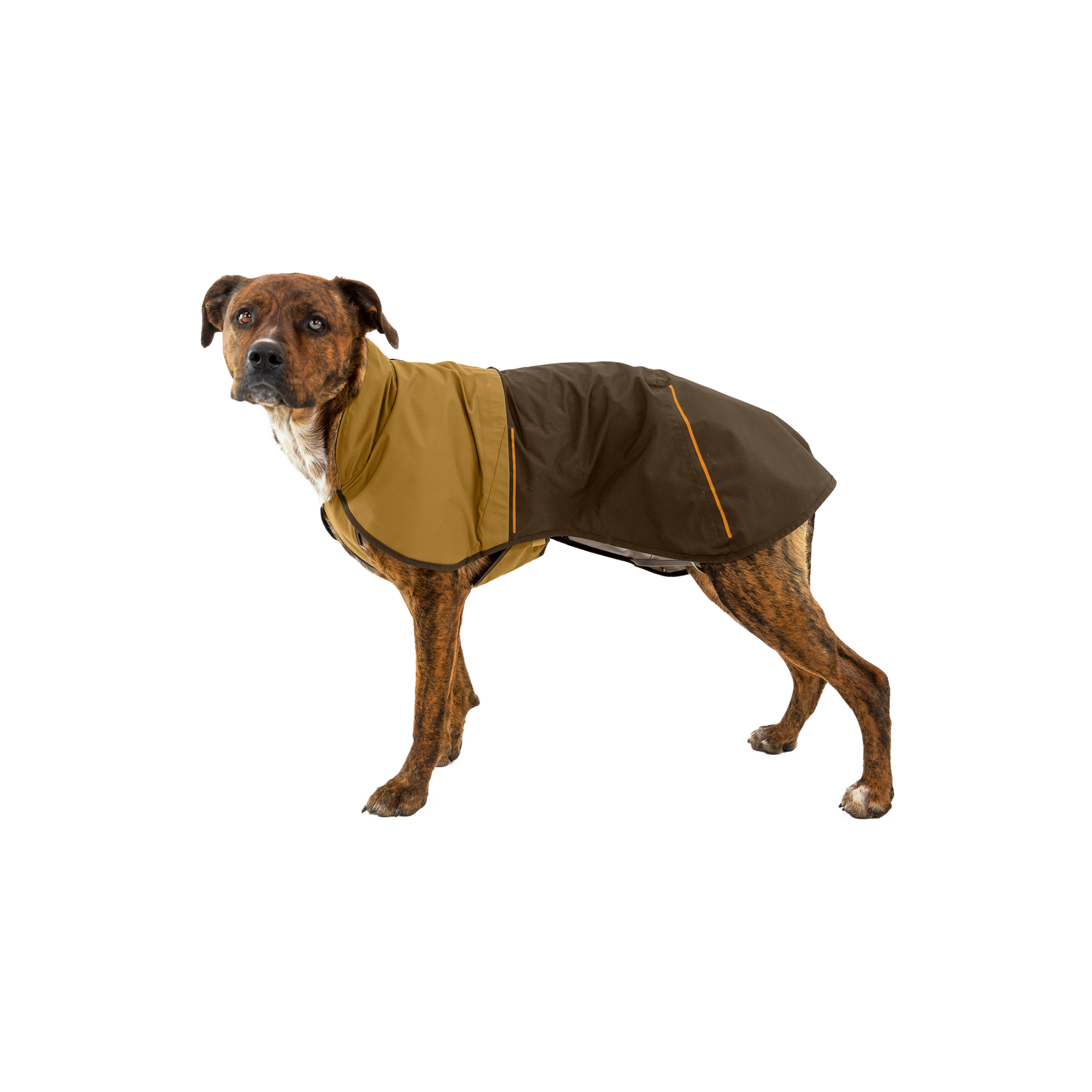 Product image 8 of 18 of RUFFWEAR Sun Shower Dog Raincoat - Earth Brown