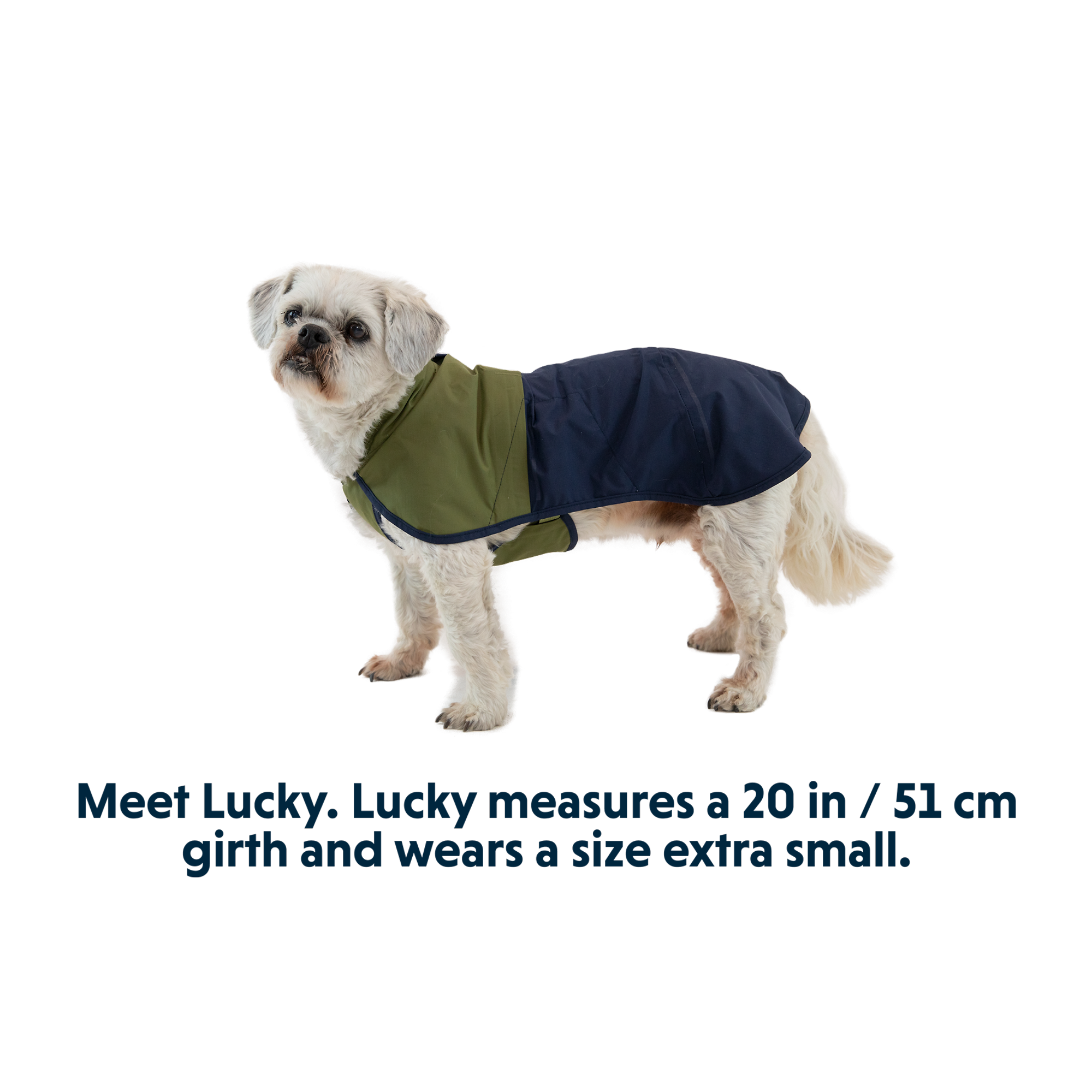 Product image 9 of 18 of RUFFWEAR Sun Shower Dog Raincoat - Earth Brown